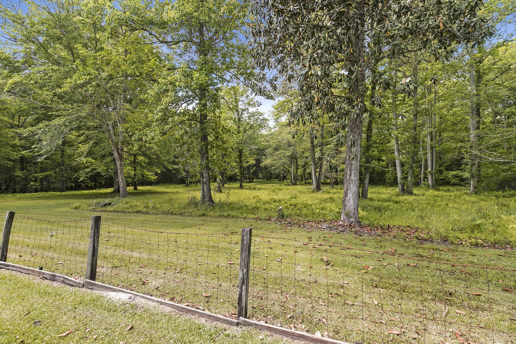 Image for Secluded, Creekside Home on the Abbie Creek!