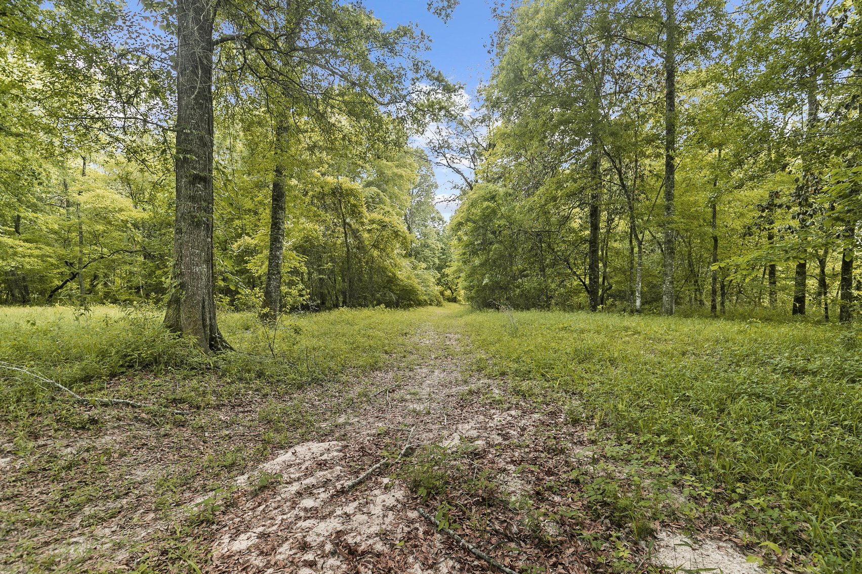 Image for Secluded, Creekside Home on the Abbie Creek!