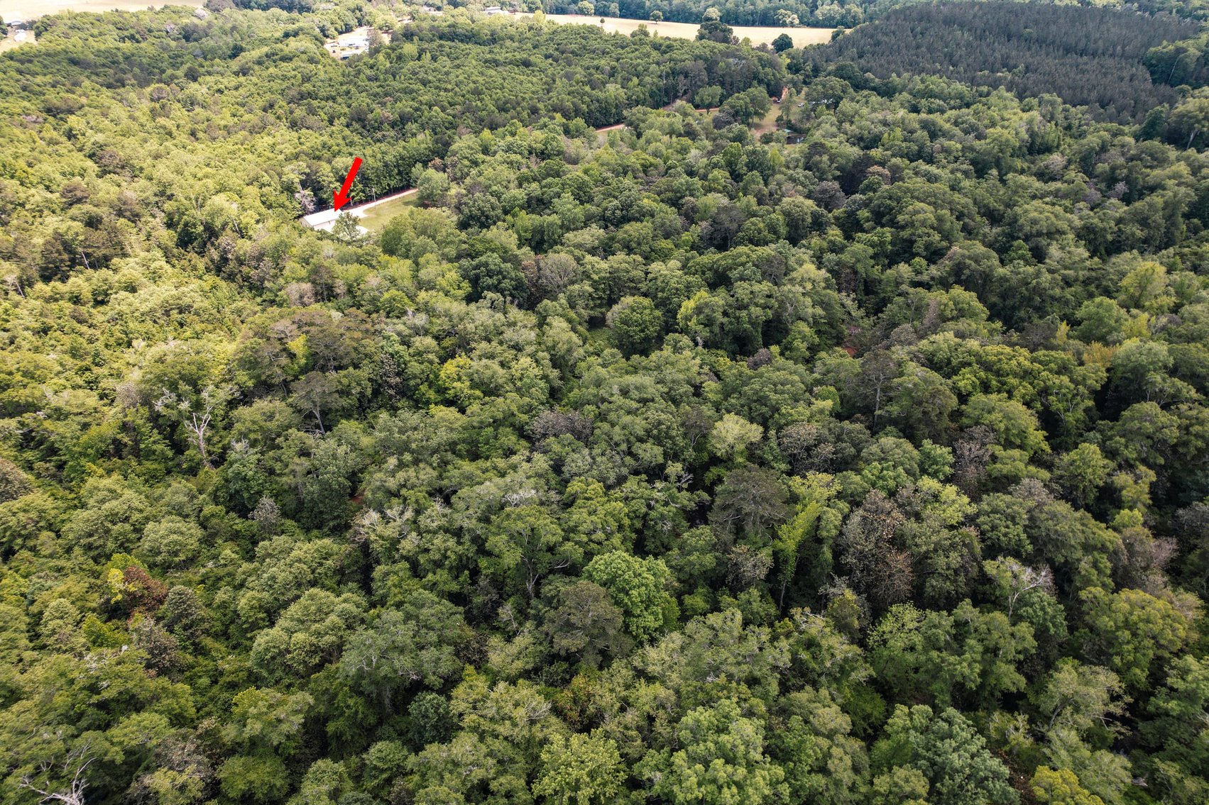 Image for Secluded, Creekside Home on the Abbie Creek!