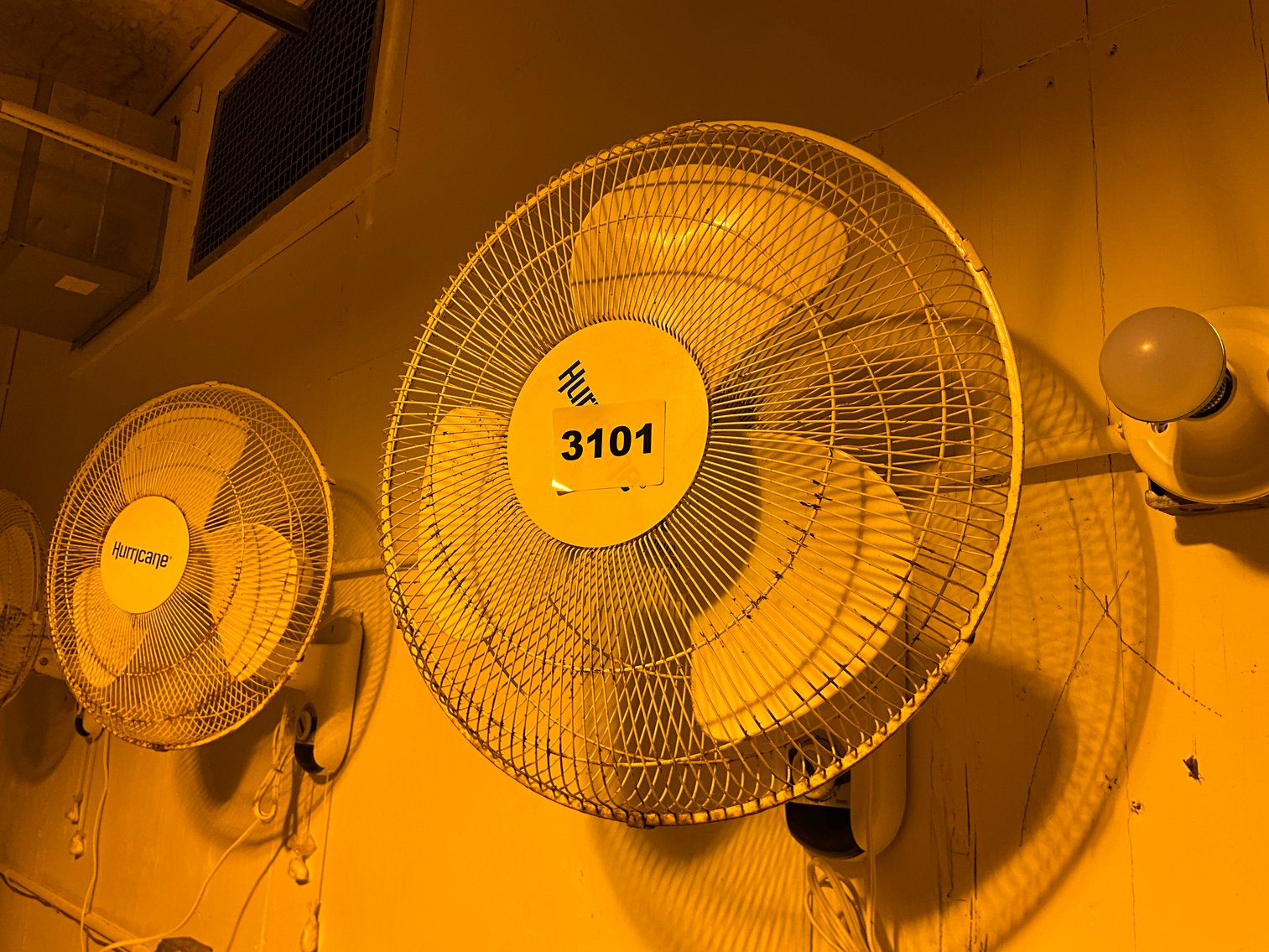 Image for Industrial & Greenhouse Facility Auction