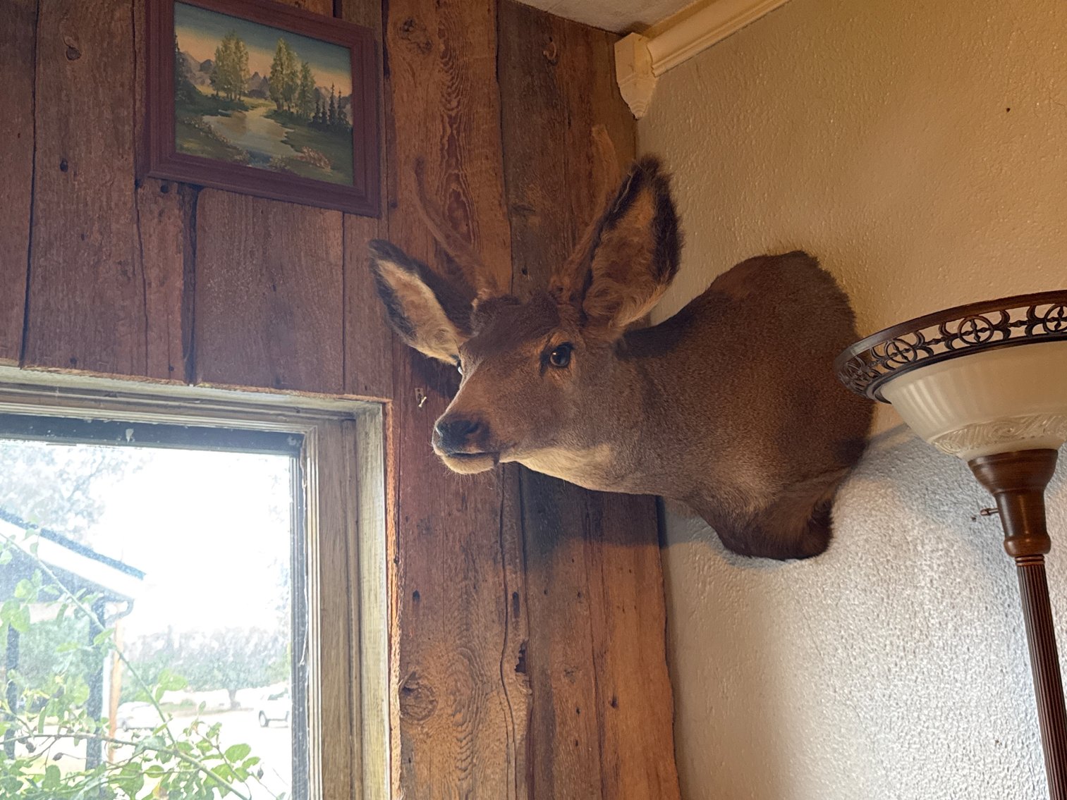 Image for Estate Auction of Brad and Kathy Talkington (click here for details)