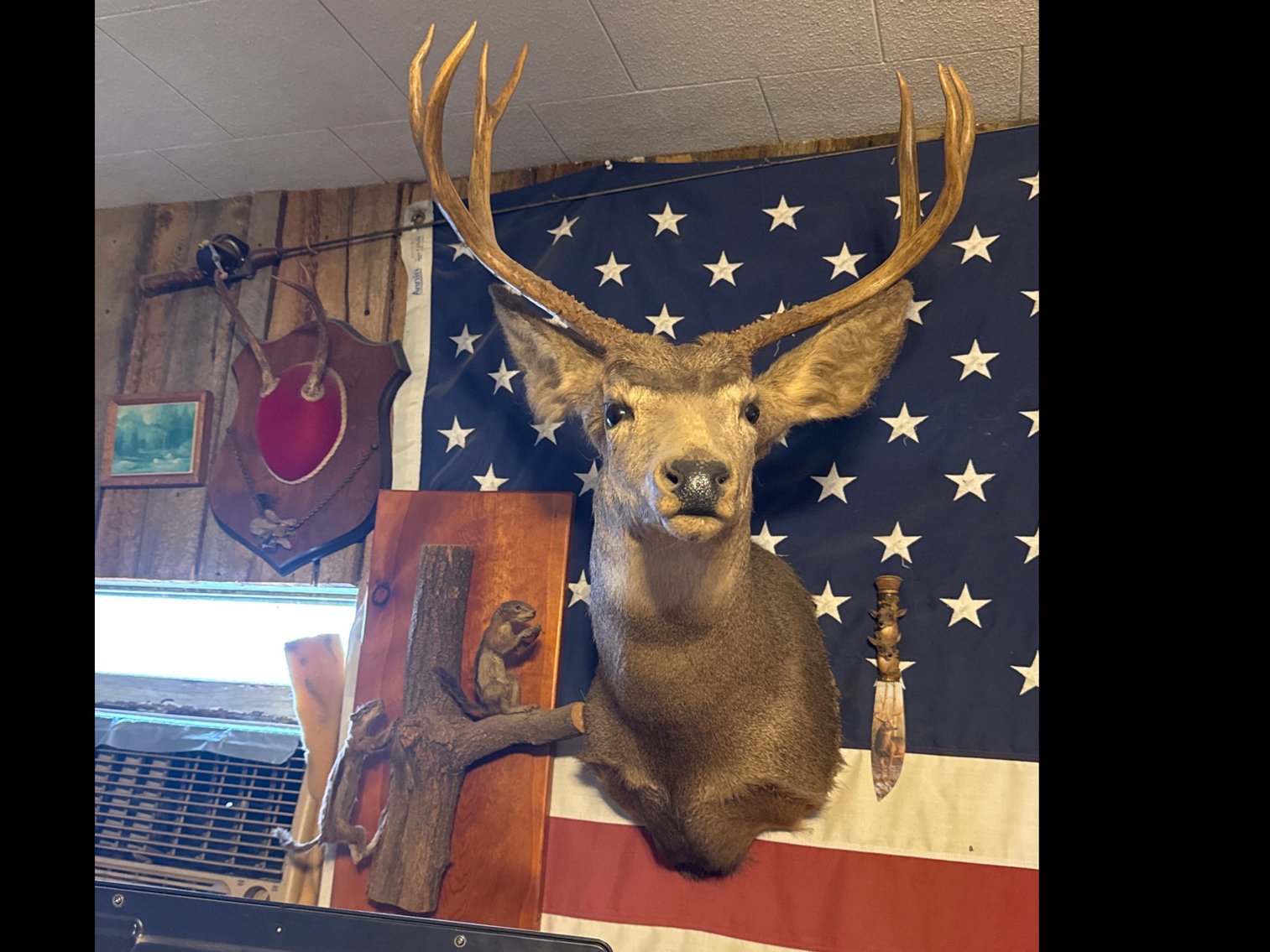 Image for Estate Auction of Brad and Kathy Talkington (click here for details)