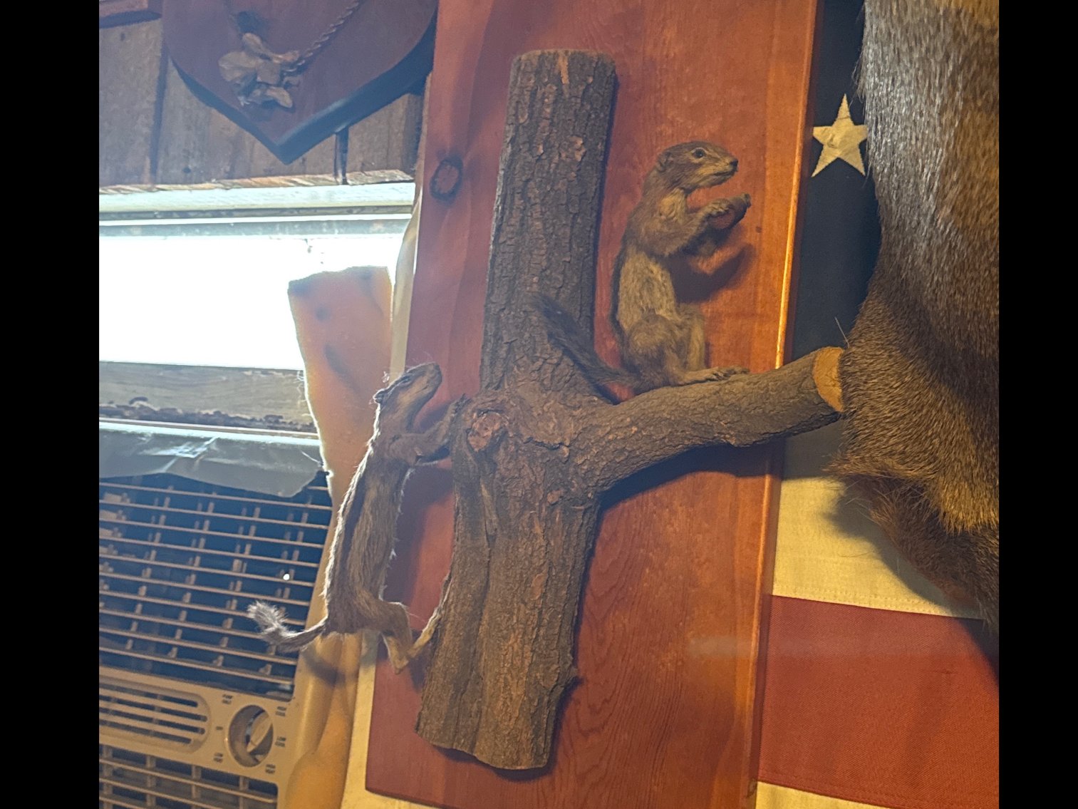 Image for Estate Auction of Brad and Kathy Talkington (click here for details)