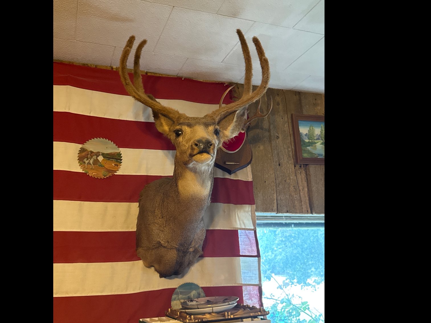 Image for Estate Auction of Brad and Kathy Talkington (click here for details)