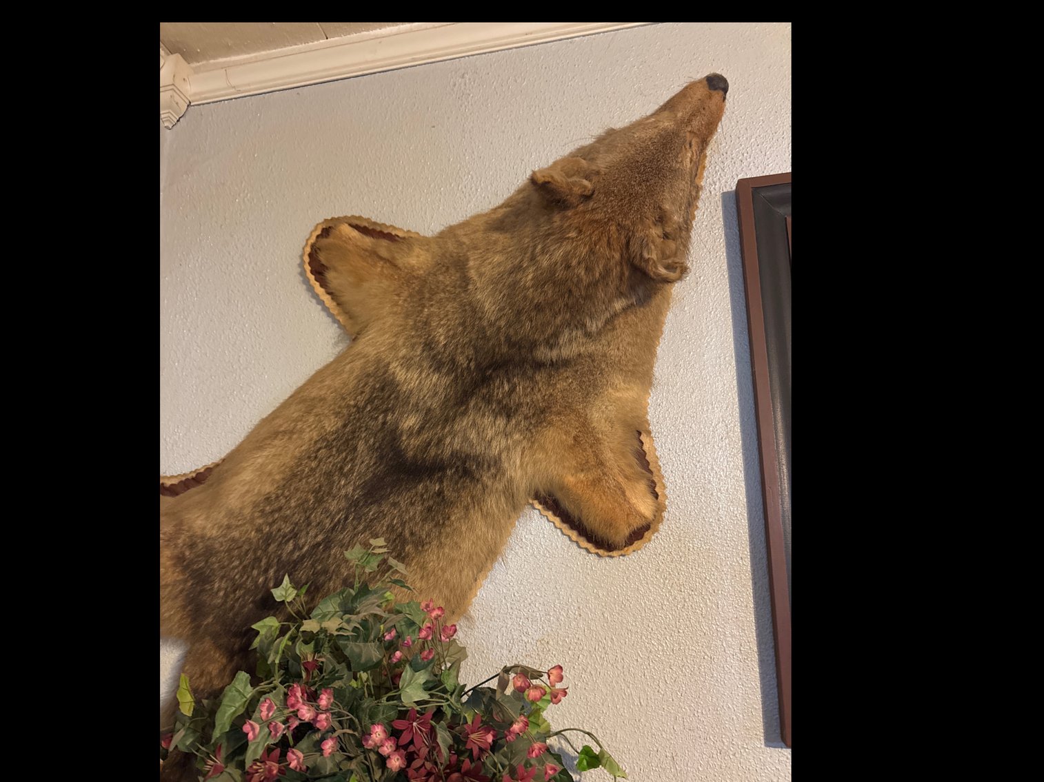 Image for Estate Auction of Brad and Kathy Talkington (click here for details)