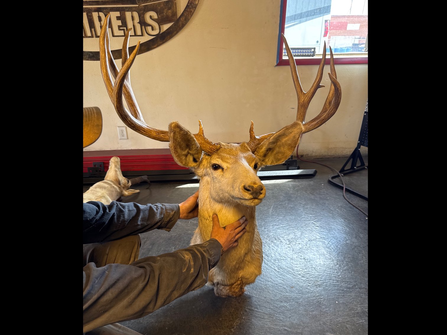 Image for (Live, In-Person Only) Fall Consignment Auction !!CLICK HERE!!