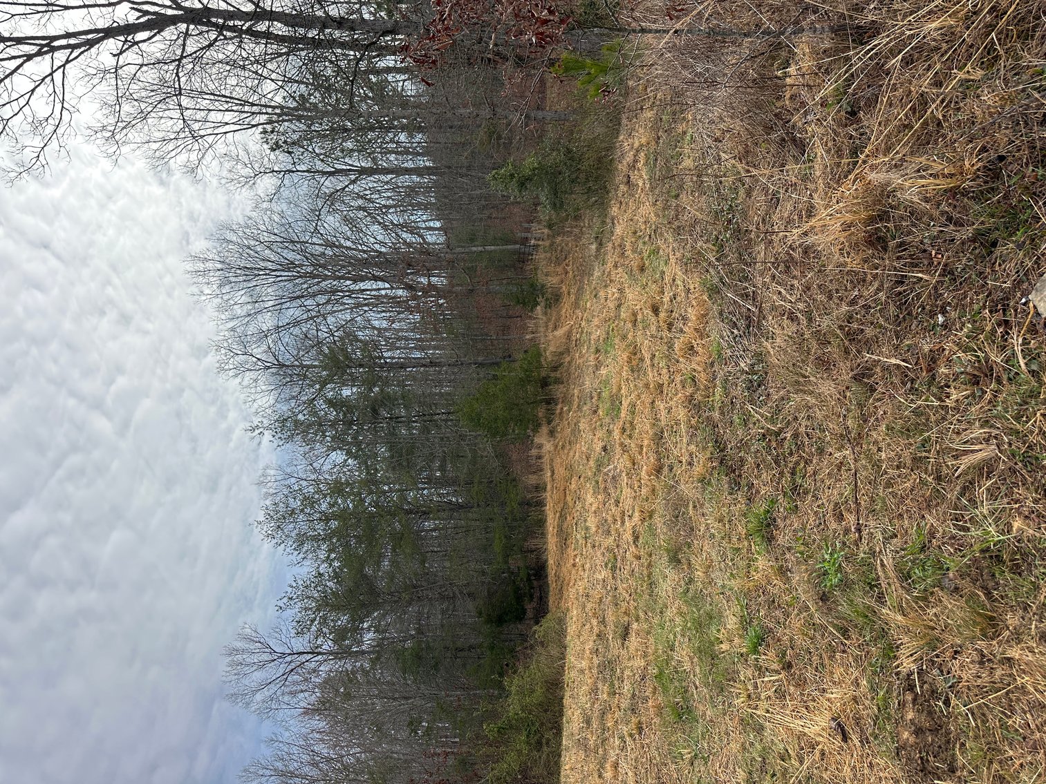 Image for 71 HERRINGTON RD Pikeville TN 37367