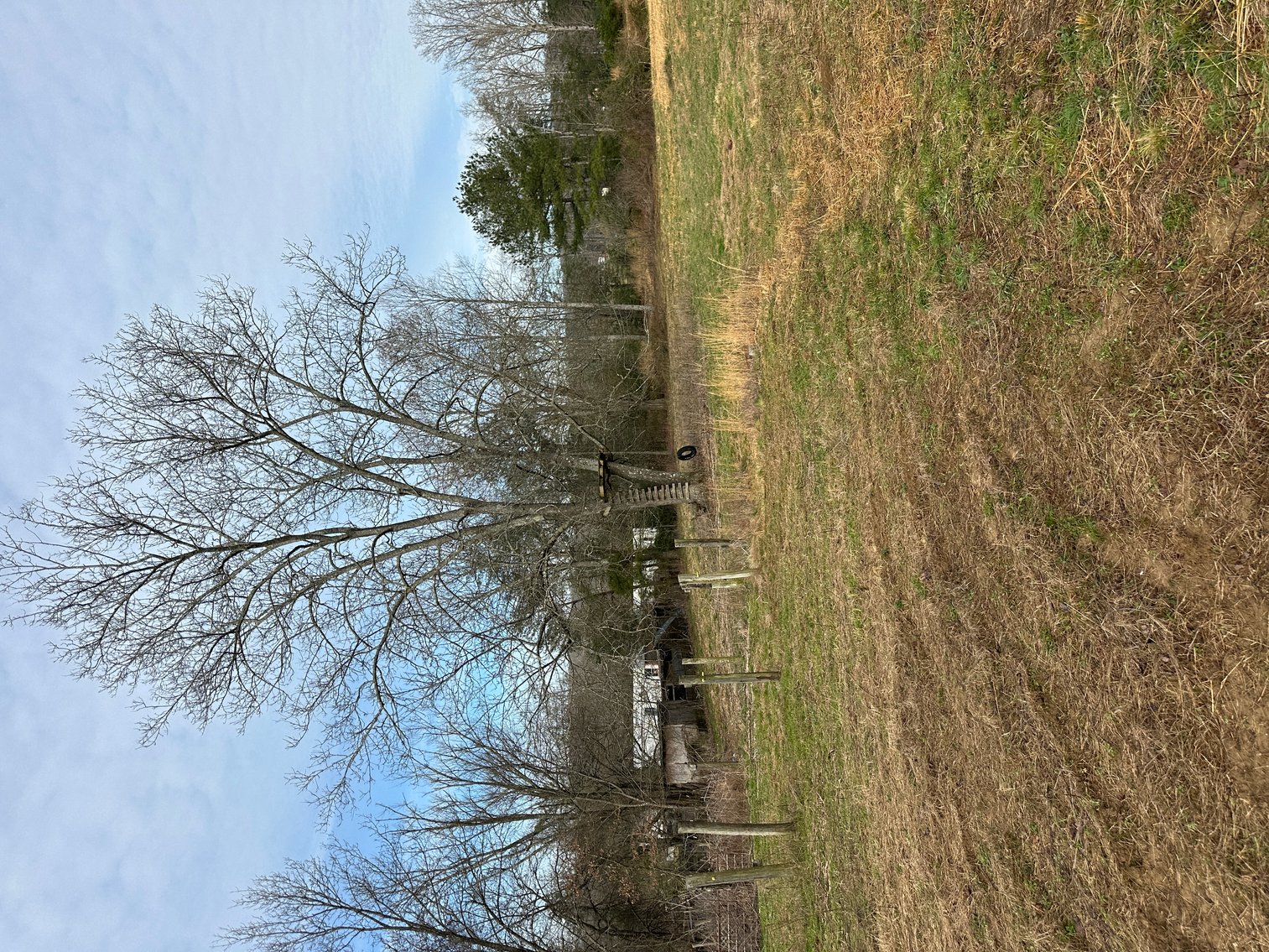 Image for 71 HERRINGTON RD Pikeville TN 37367