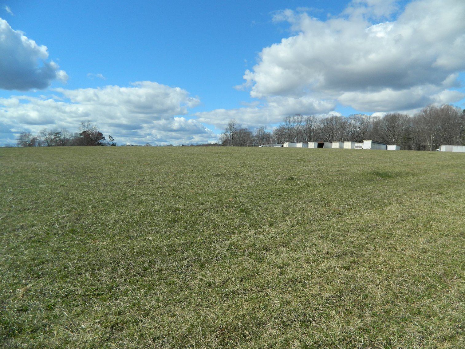 Image for REAL ESTATE AUCTION~BUSINESS LIQUIDATION