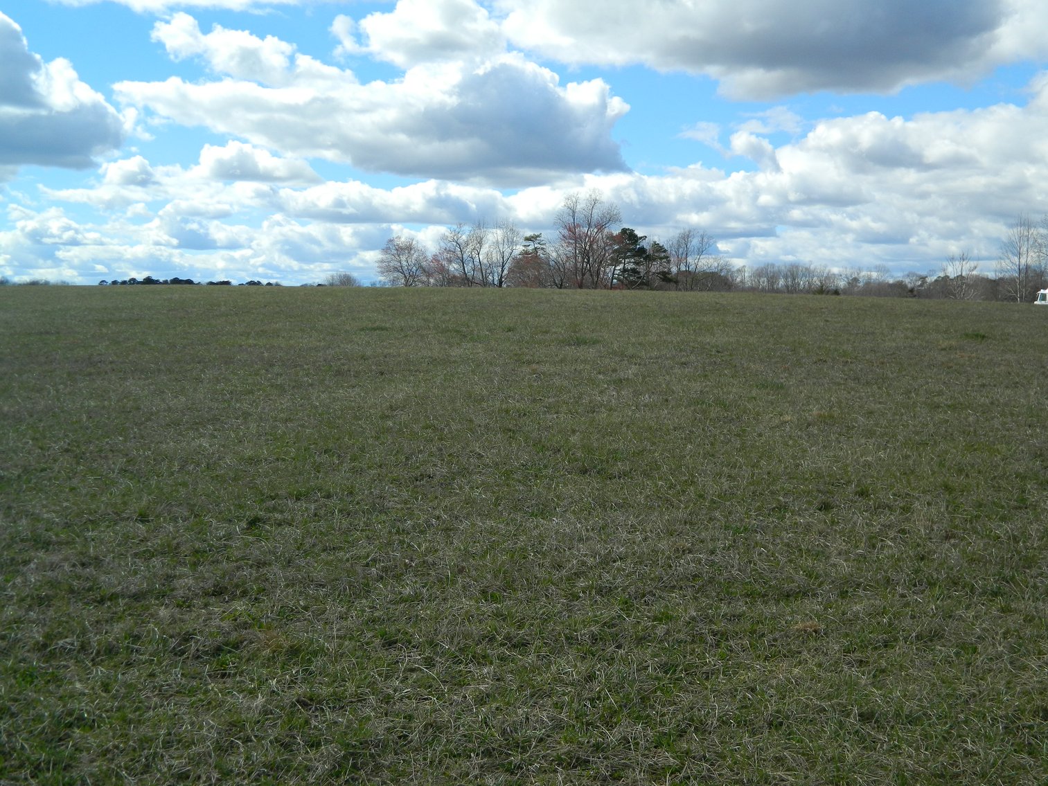 Image for REAL ESTATE AUCTION~BUSINESS LIQUIDATION