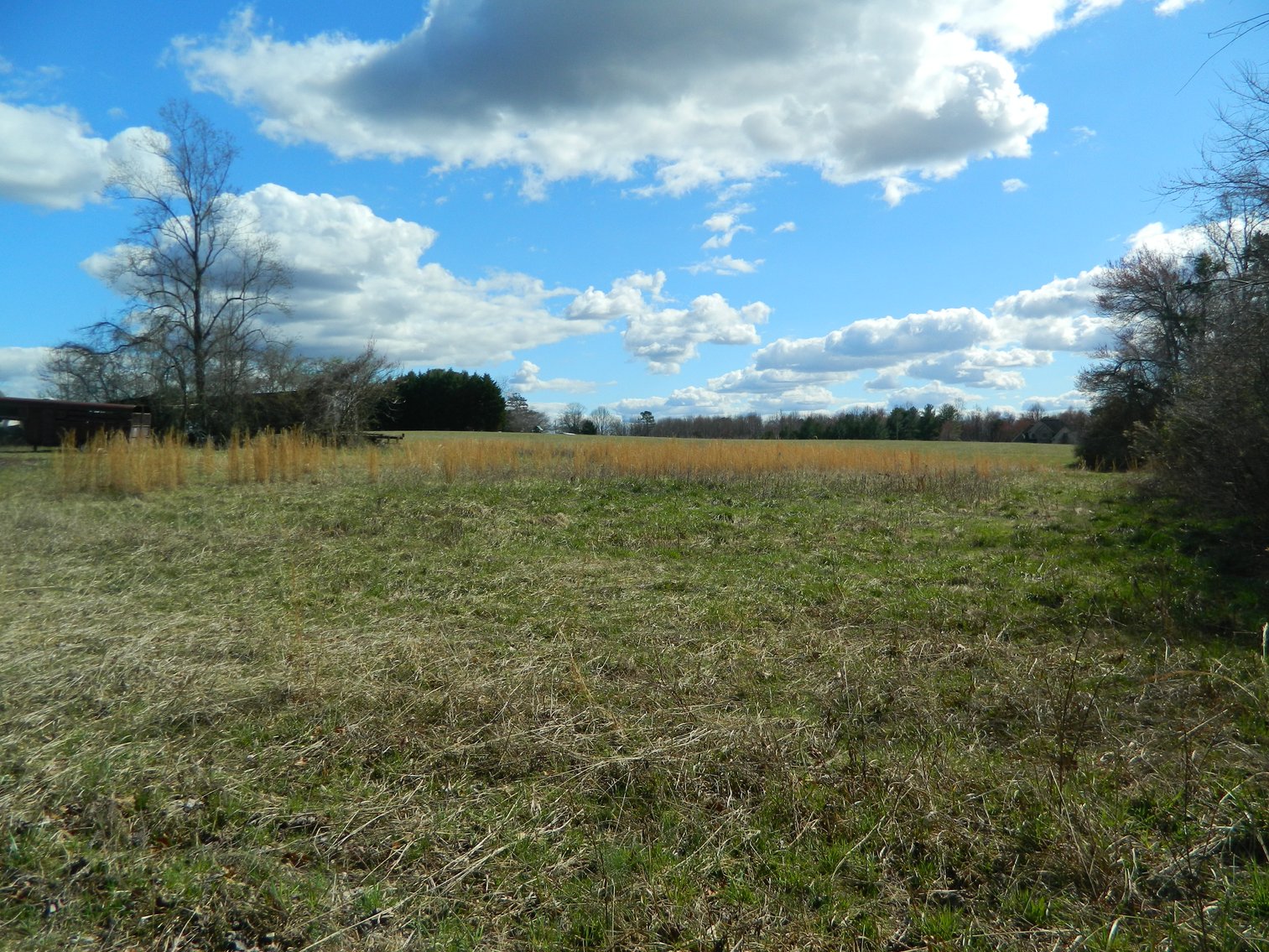 Image for REAL ESTATE AUCTION~BUSINESS LIQUIDATION