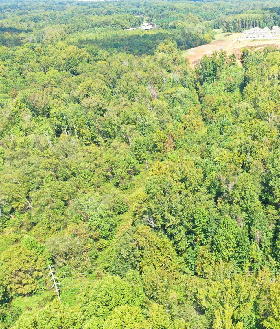 Image for REAL ESTATE AUCTION~5 ACRES~COLFAX