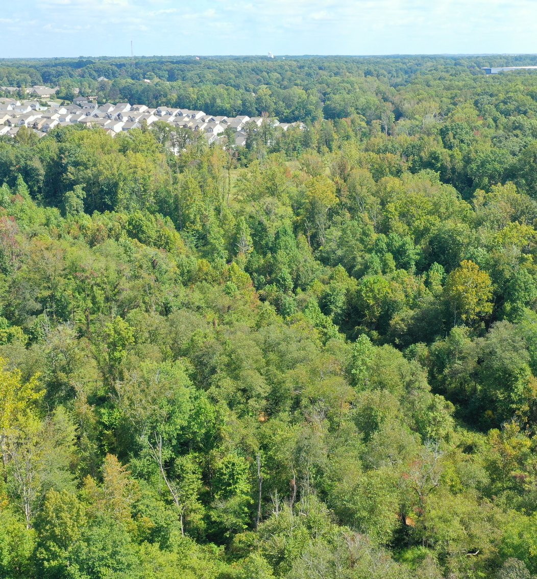 Image for REAL ESTATE AUCTION~5 ACRES~COLFAX