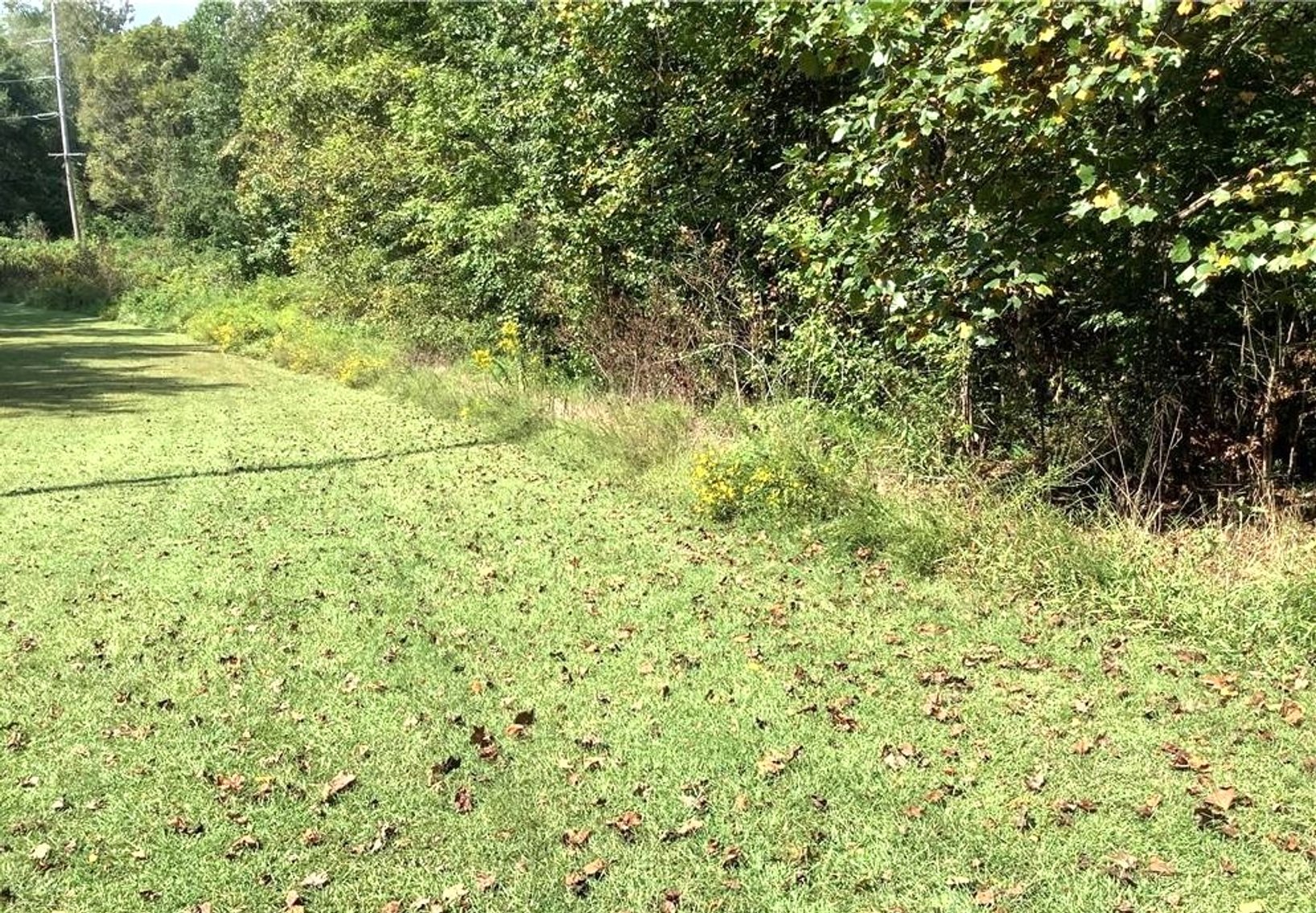 Image for REAL ESTATE AUCTION~5 ACRES~COLFAX