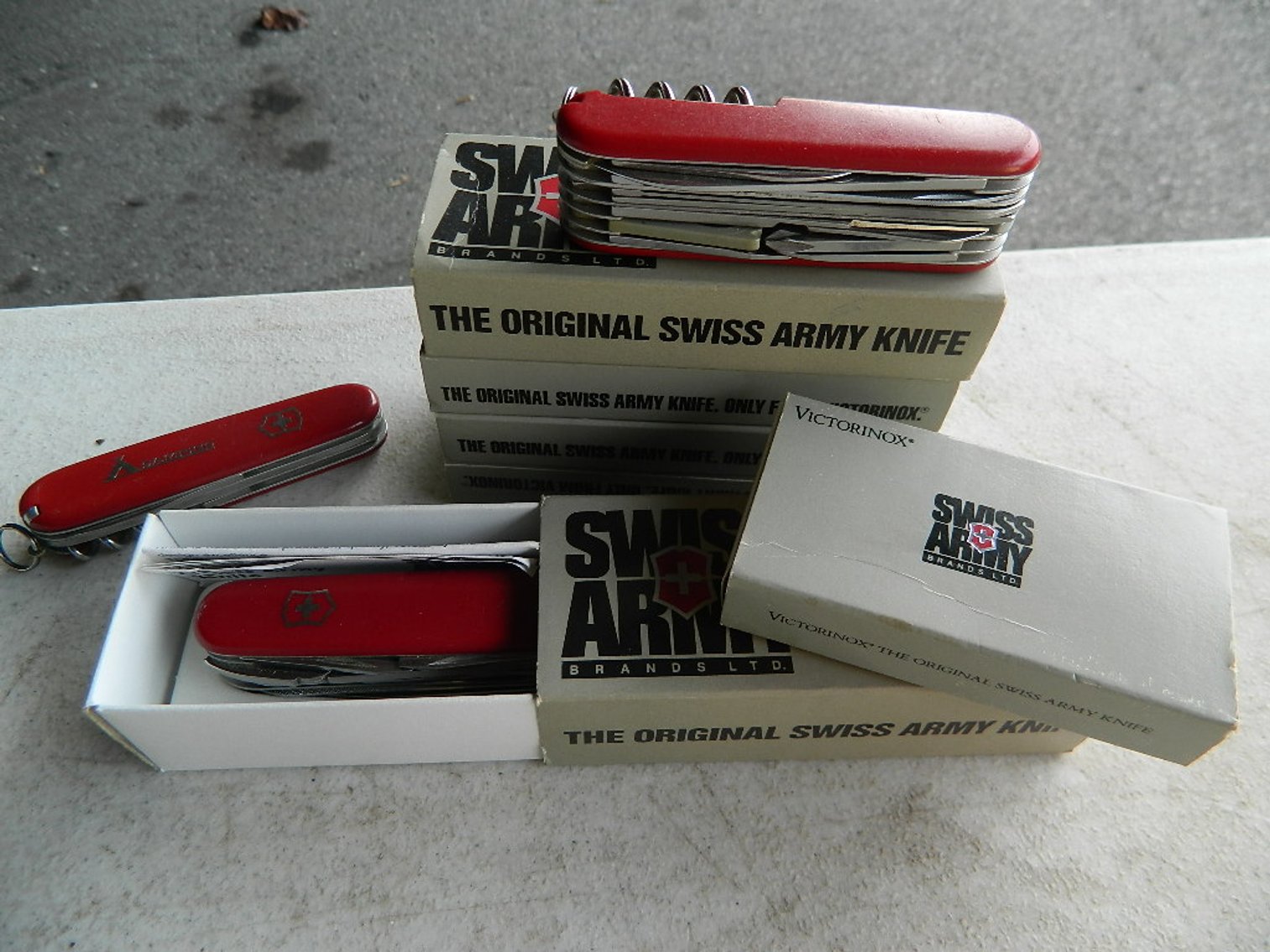 Image for PUBLIC ESTATE AUCTION (LIVING)