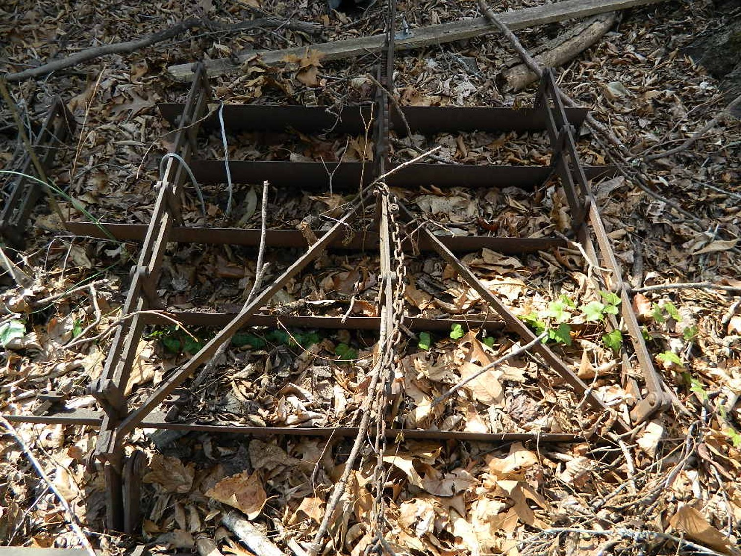 Image for PUBLIC ESTATE AUCTION (LIVING/MOVING)