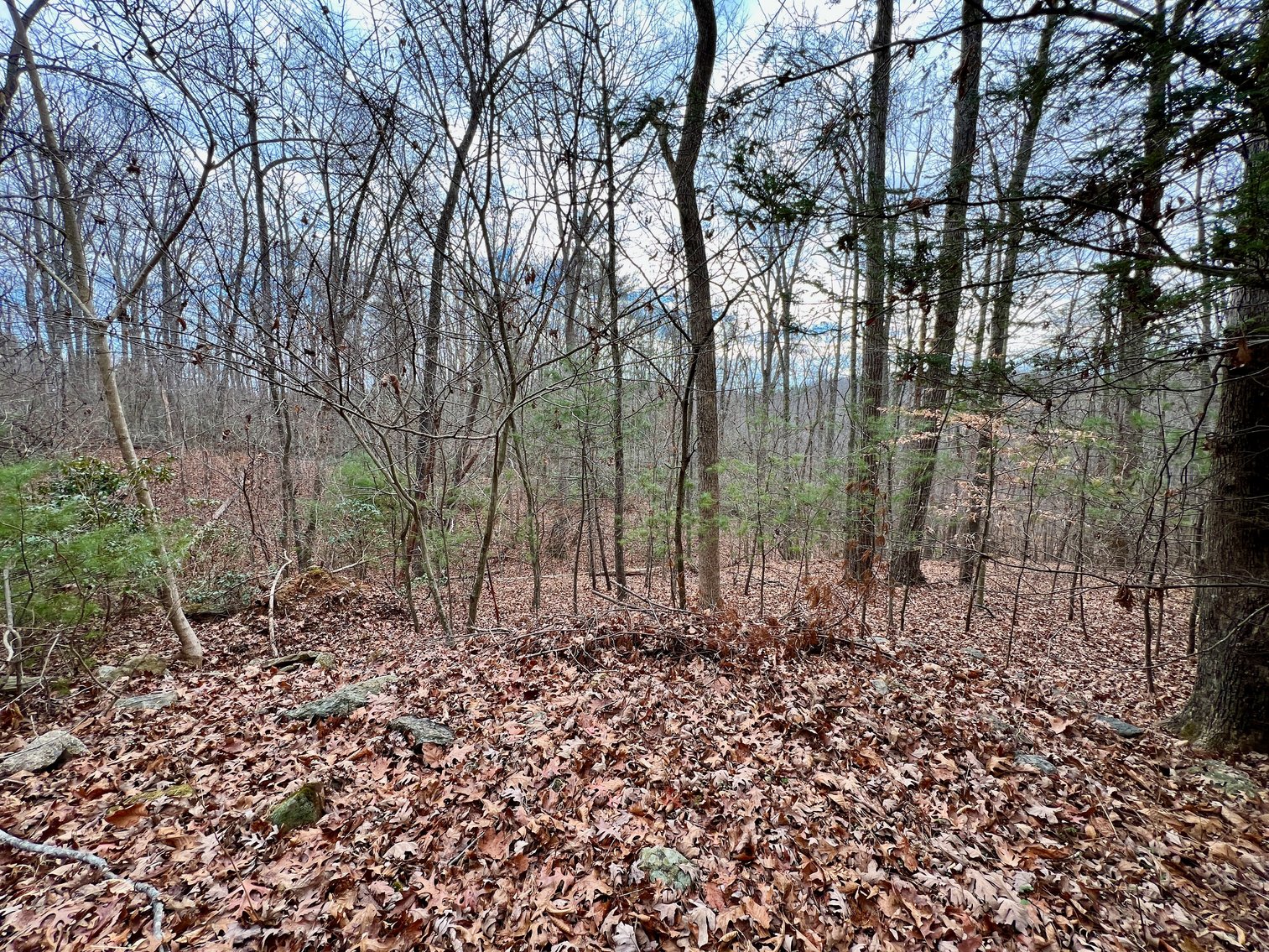 Image for 3 BR/2 BA Home w/Basement & 1,400' +/- of Hazel River Frontage on 25 +/- Acres in Culpeper County, VA--SELLING to the HIGHEST BIDDER via ONLINE ONLY BIDDING!!