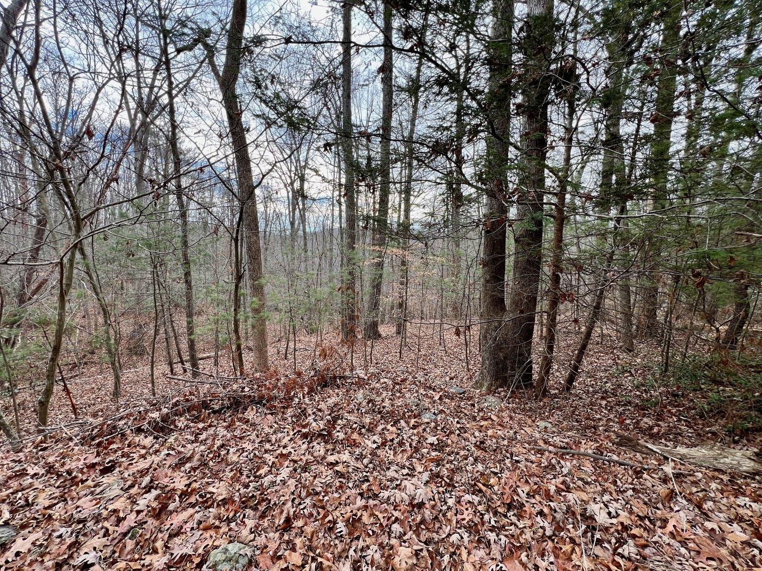 Image for 3 BR/2 BA Home w/Basement & 1,400' +/- of Hazel River Frontage on 25 +/- Acres in Culpeper County, VA--SELLING to the HIGHEST BIDDER via ONLINE ONLY BIDDING!!