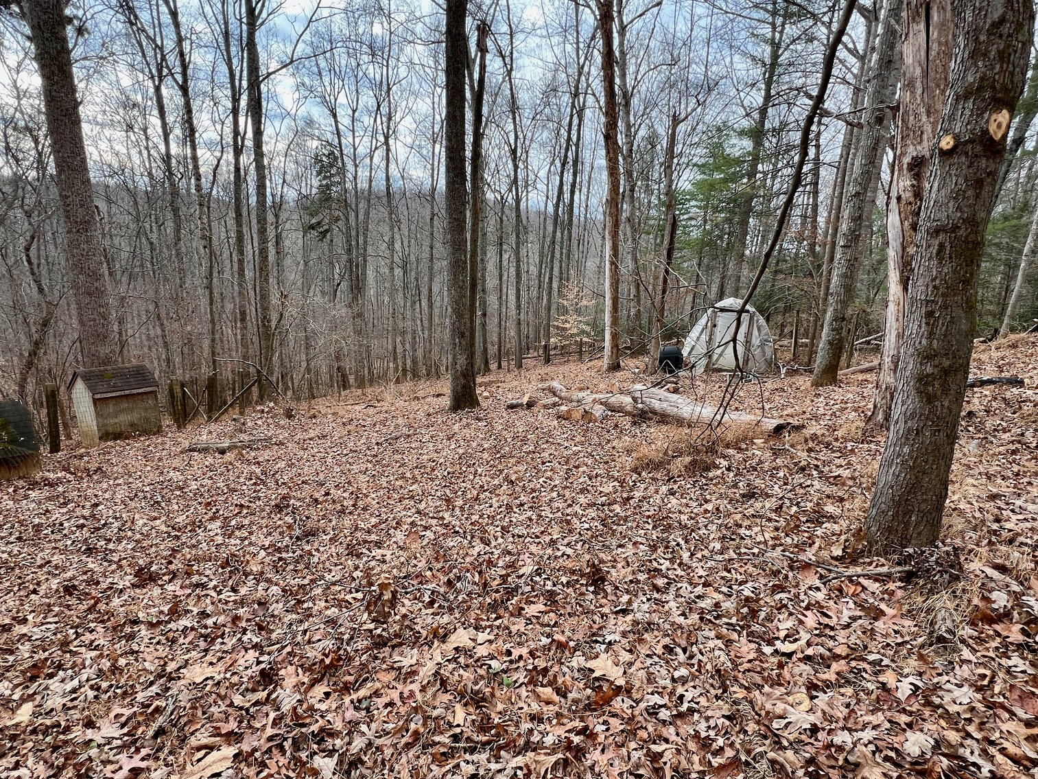 Image for 3 BR/2 BA Home w/Basement & 1,400' +/- of Hazel River Frontage on 25 +/- Acres in Culpeper County, VA--SELLING to the HIGHEST BIDDER via ONLINE ONLY BIDDING!!