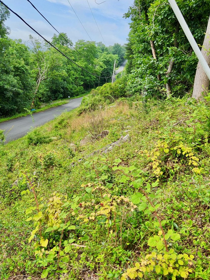 Image for 2 Lots Totaling 1.12 +/- Acres w/AMAZING Views on Top of Bull Run Mountain in Prince William County, VA--SELLING to the HIGHEST BIDDER via ONLINE ONLY BIDDING!!
