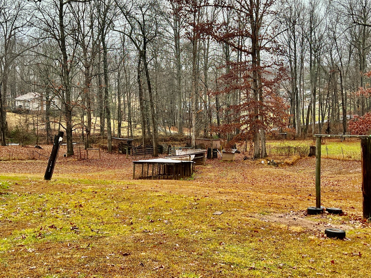 Image for 3 BR/2 BA Home w/Basement & Multiple Outbuildings on 5.2 +/- Acres in Madison County, VA--SELLING to the HIGHEST BIDDER!!