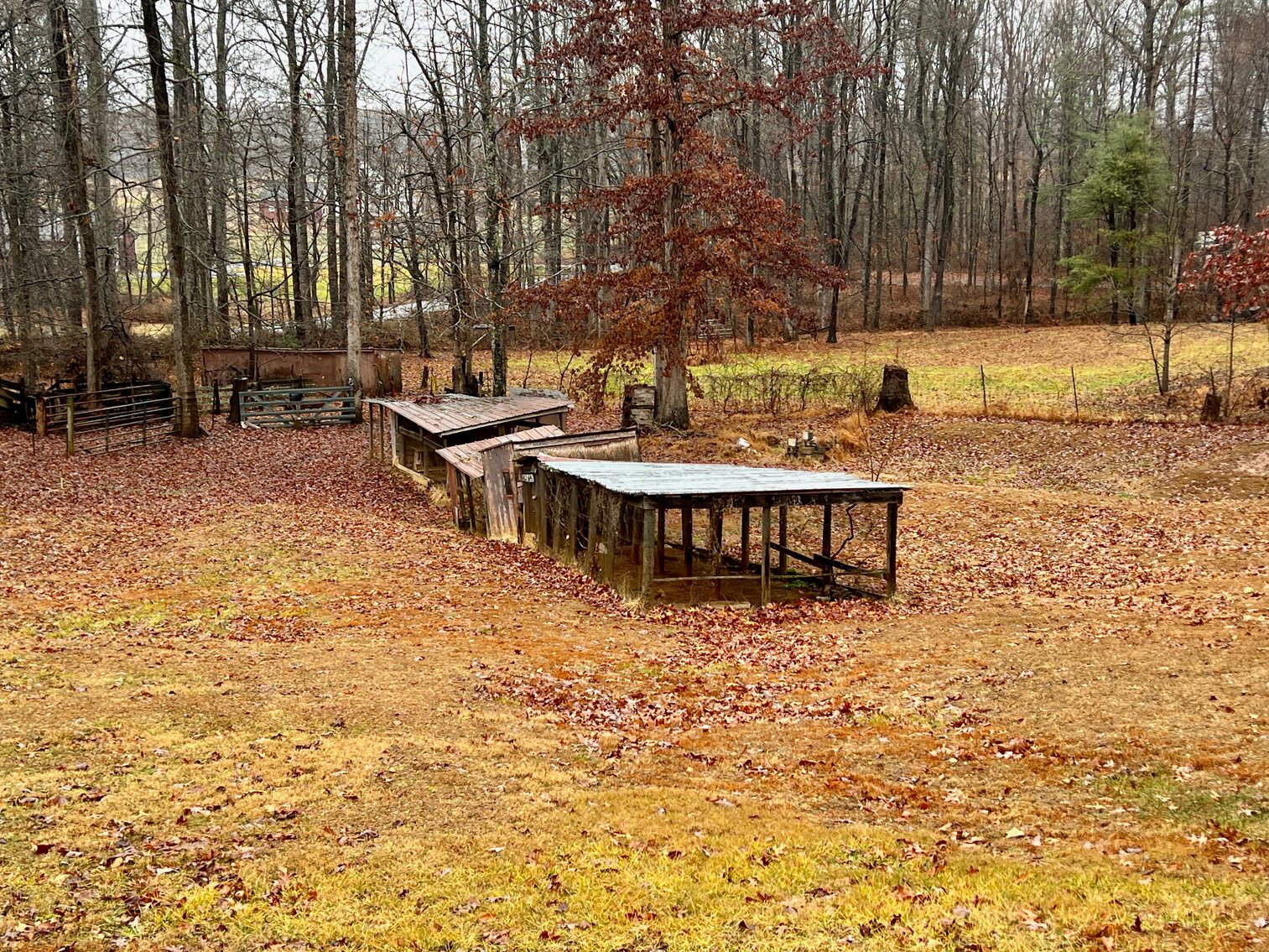 Image for 3 BR/2 BA Home w/Basement & Multiple Outbuildings on 5.2 +/- Acres in Madison County, VA--SELLING to the HIGHEST BIDDER!!