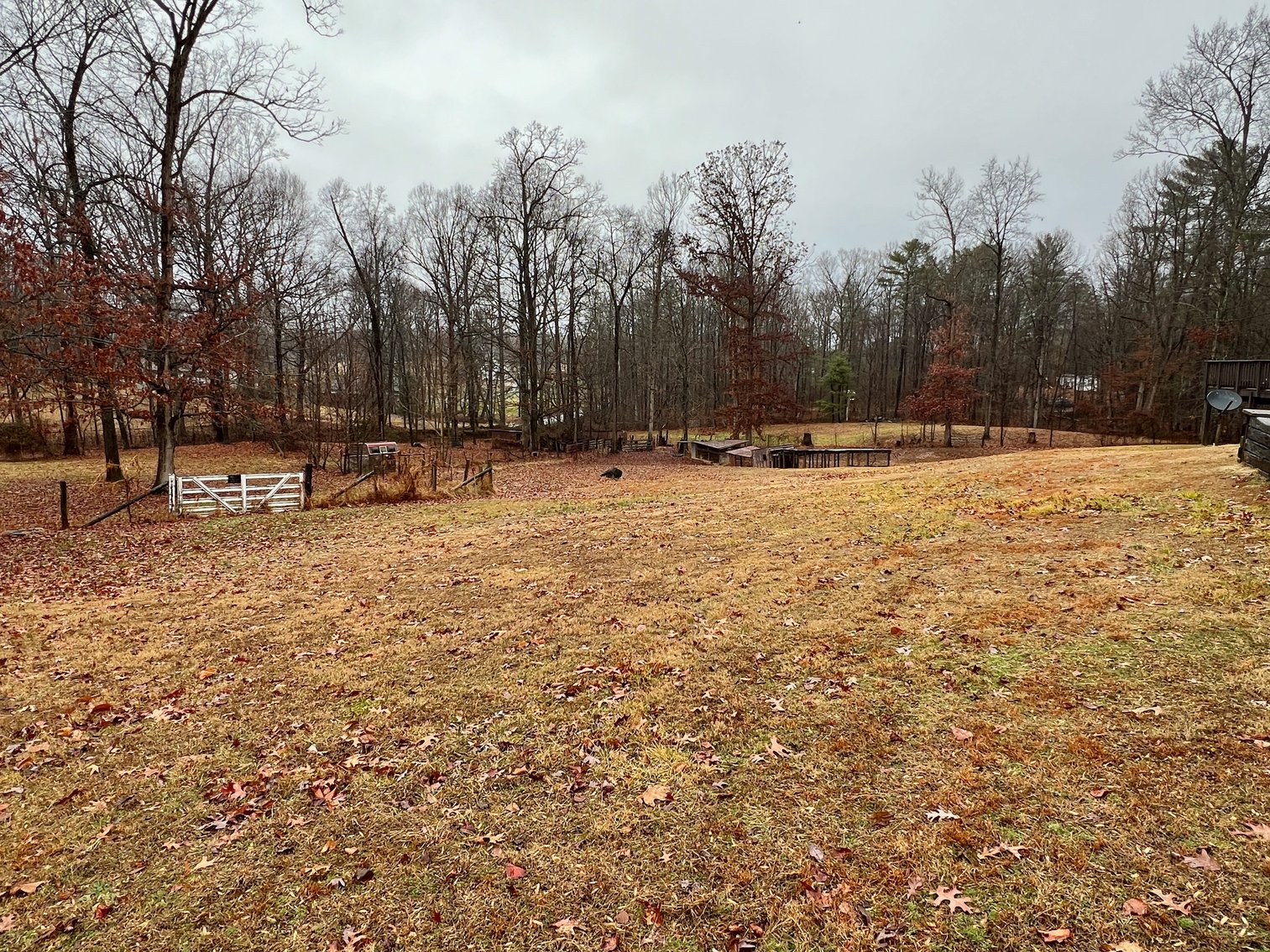 Image for 3 BR/2 BA Home w/Basement & Multiple Outbuildings on 5.2 +/- Acres in Madison County, VA--SELLING to the HIGHEST BIDDER!!