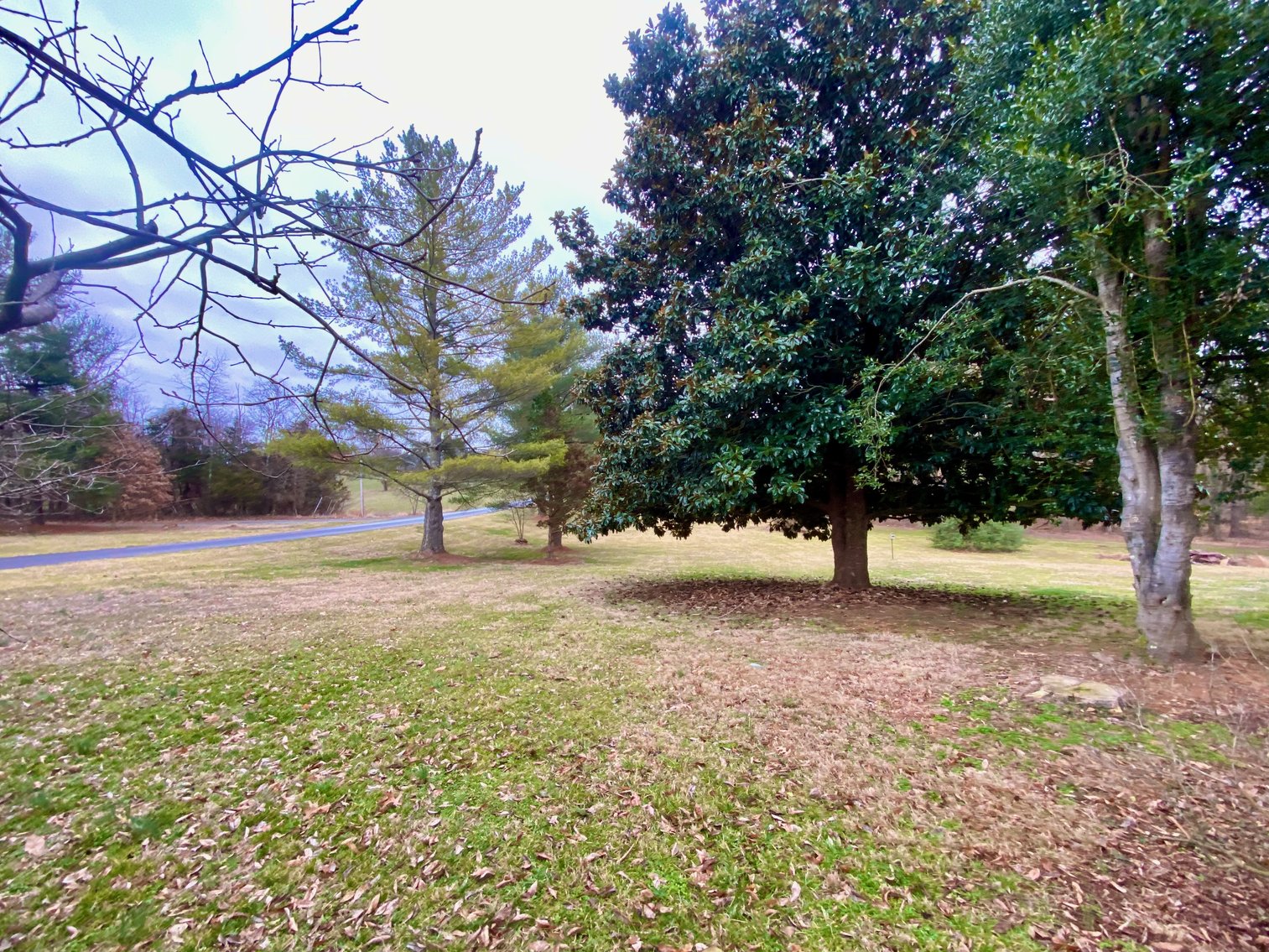 Image for 3 BR/2.5 BA Brick Home w/Walk-Out Lower Level & Detached Shop on 1.7 +/- Acres Minutes From Downtown Culpeper, VA--SELLING to the HIGHEST BIDDER!!