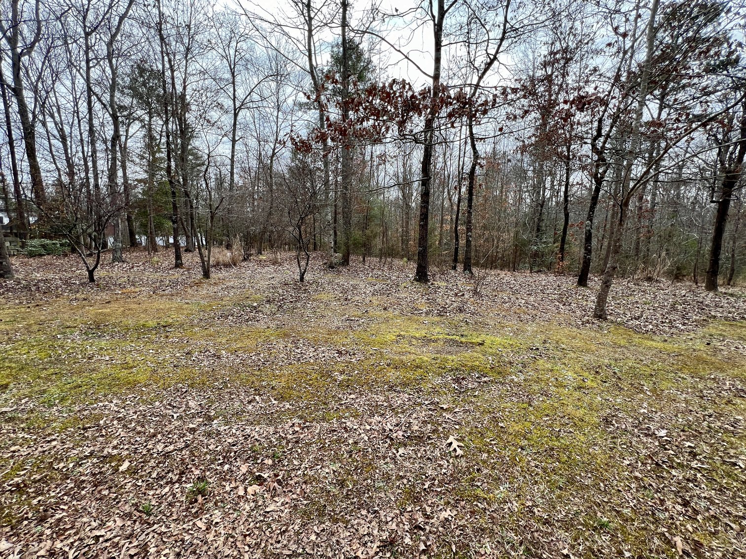 Image for 3 BR/2 BA Home w/Several Outbuildings on 2 +/- Acres in New Kent County, VA