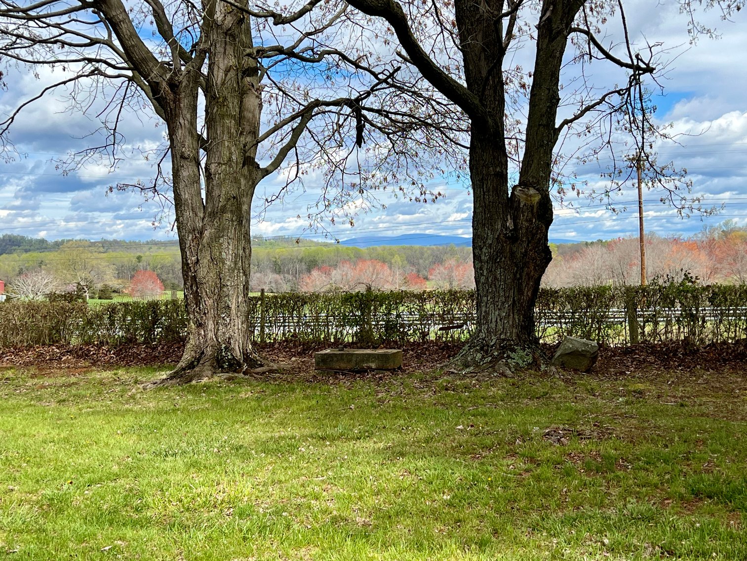 Image for 2 BR/1 BA Home on 2 +/- Acres w/Scenic Mountain Views in Culpeper County, VA--SELLING to the HIGHEST BIDDER!!