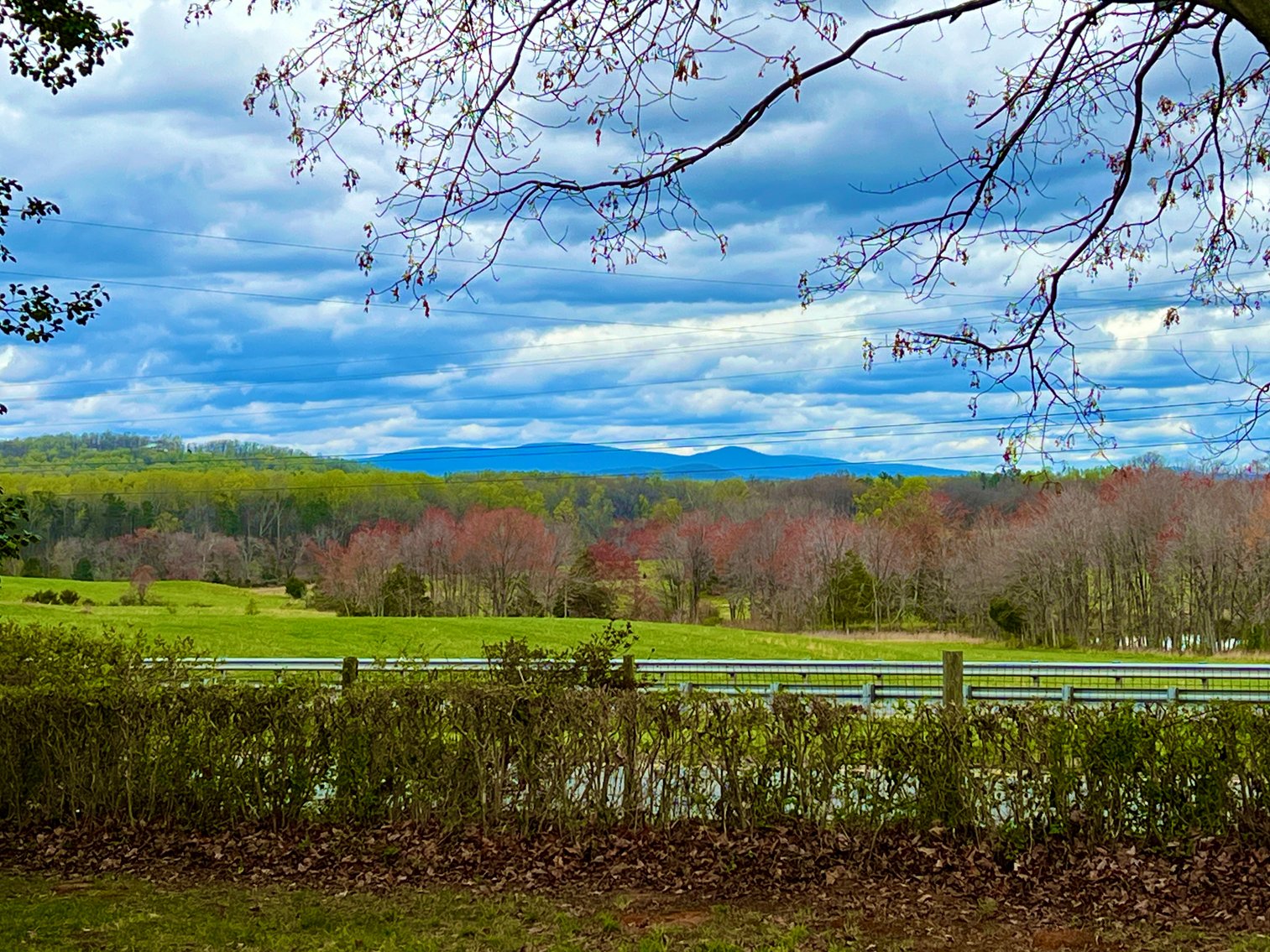 Image for 2 BR/1 BA Home on 2 +/- Acres w/Scenic Mountain Views in Culpeper County, VA--SELLING to the HIGHEST BIDDER!!