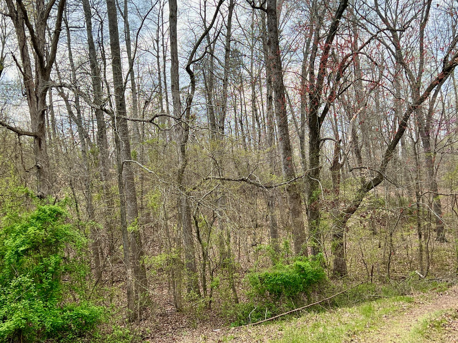 Image for 10.43 +/- Aces w/Large Barn & Well in Greene County, VA--SELLING to the HIGHEST BIDDER via ONLINE ONLY BIDDING!!