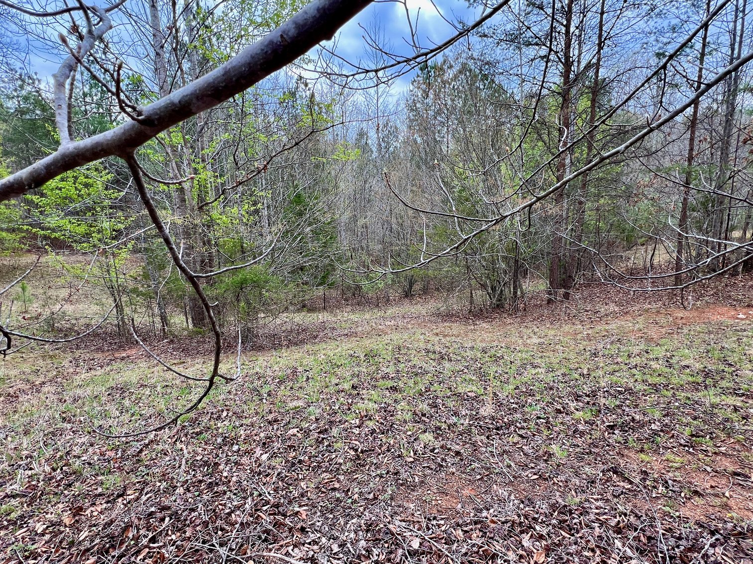 Image for 10.43 +/- Aces w/Large Barn & Well in Greene County, VA--SELLING to the HIGHEST BIDDER via ONLINE ONLY BIDDING!!