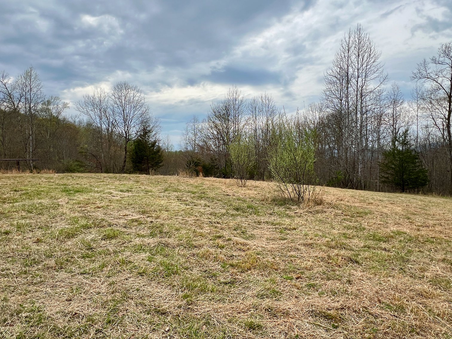 Image for 10.43 +/- Aces w/Large Barn & Well in Greene County, VA--SELLING to the HIGHEST BIDDER via ONLINE ONLY BIDDING!!
