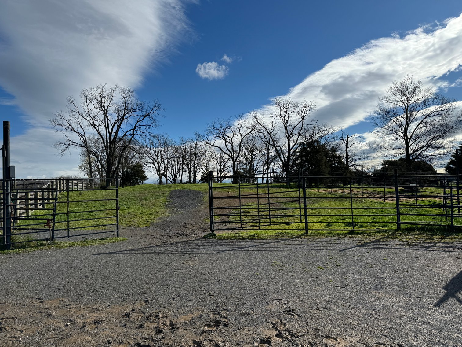 Image for 33.16± Acre Farm in Berryville, VA!