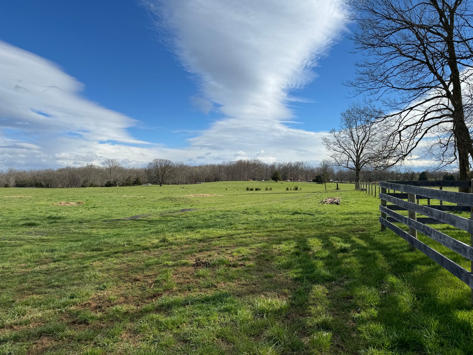 Image for 33.16± Acre Farm in Berryville, VA!