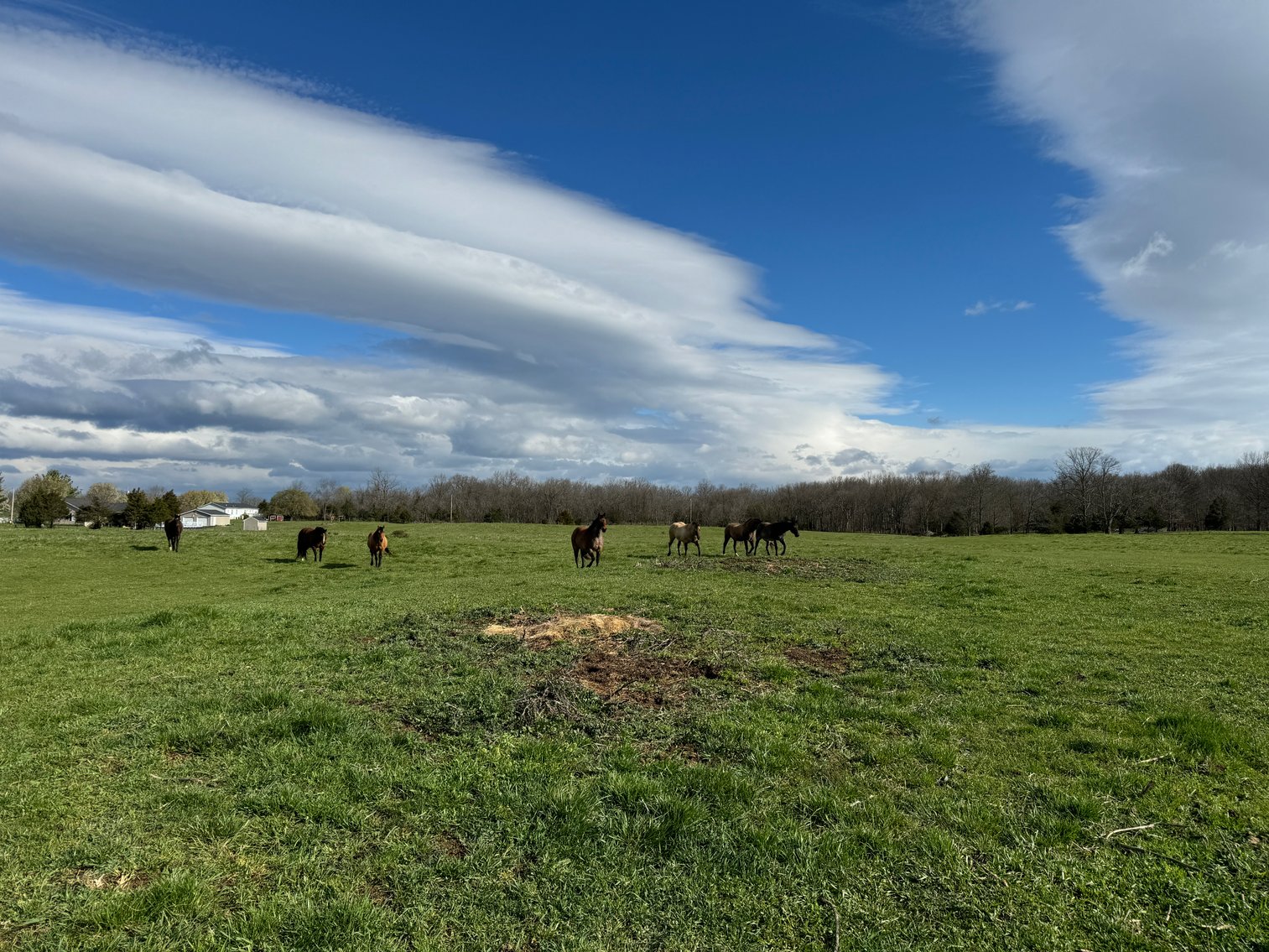 Image for 33.16± Acre Farm in Berryville, VA!