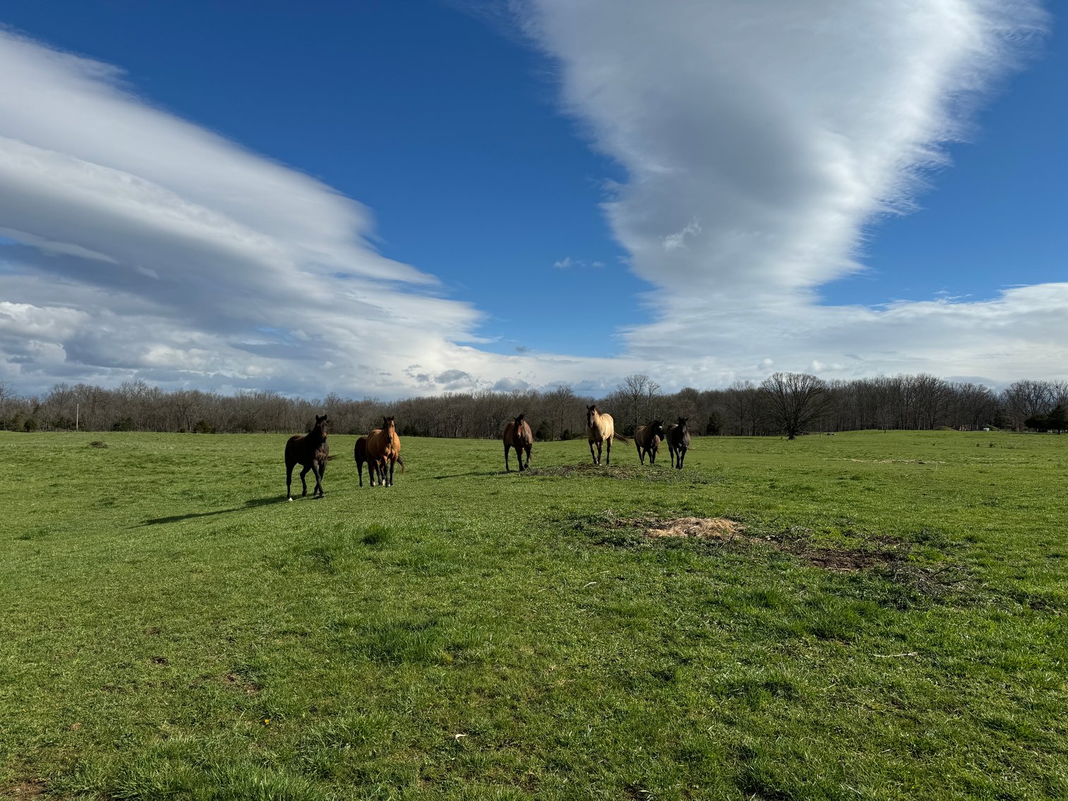 Image for 33.16± Acre Farm in Berryville, VA!