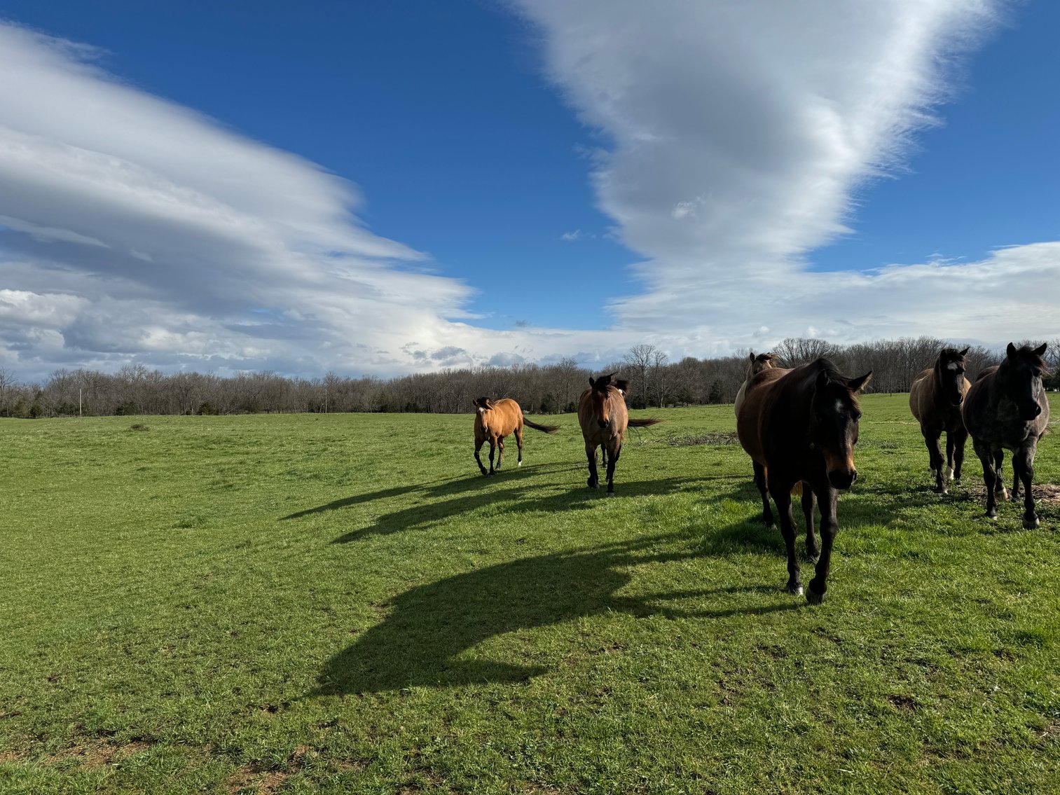 Image for 33.16± Acre Farm in Berryville, VA!