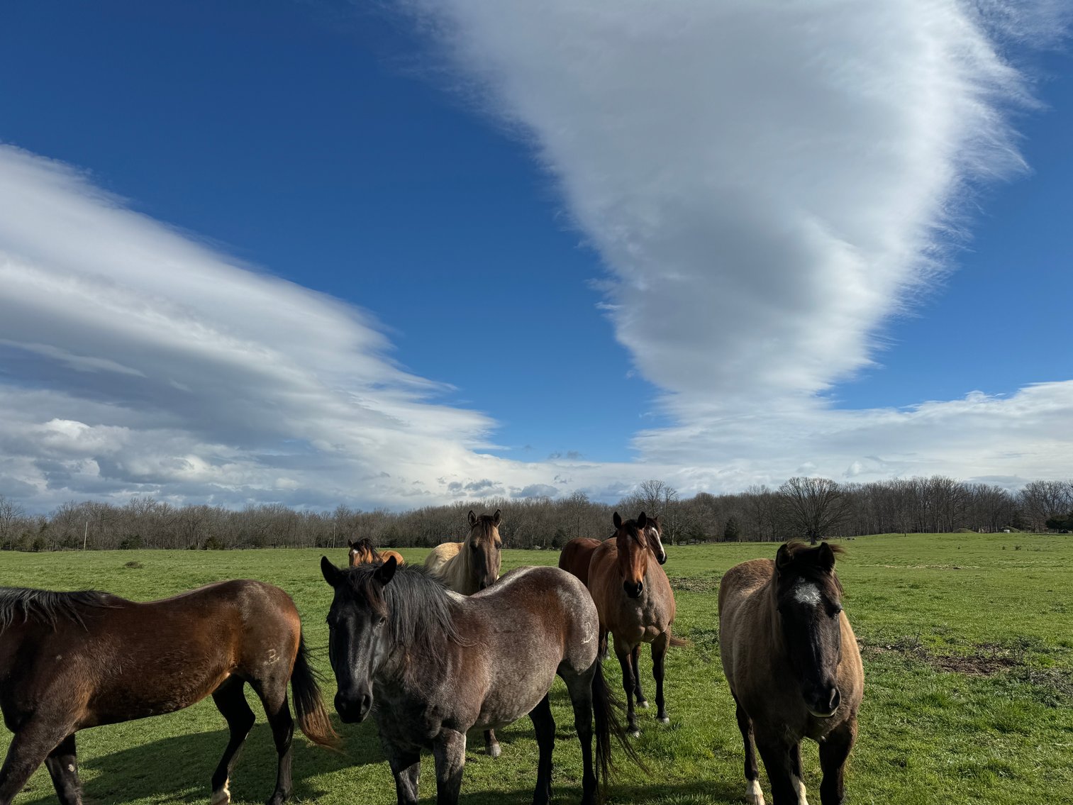 Image for 33.16± Acre Farm in Berryville, VA!