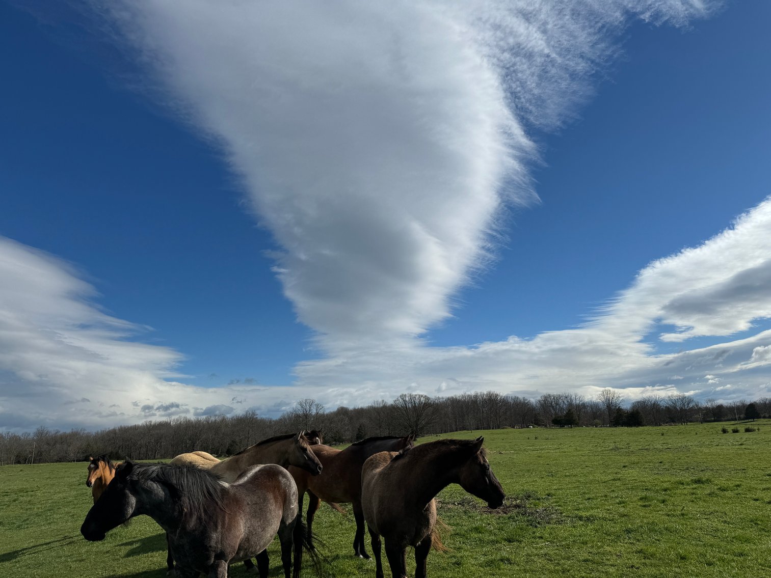 Image for 33.16± Acre Farm in Berryville, VA!