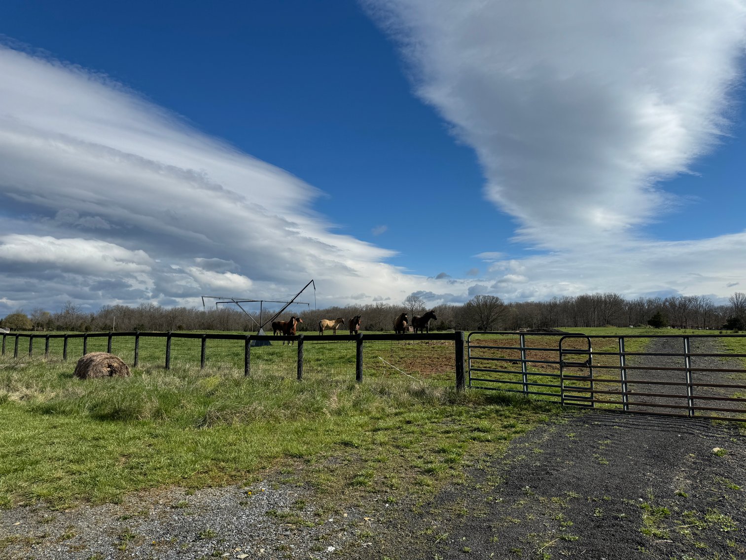 Image for 33.16± Acre Farm in Berryville, VA!