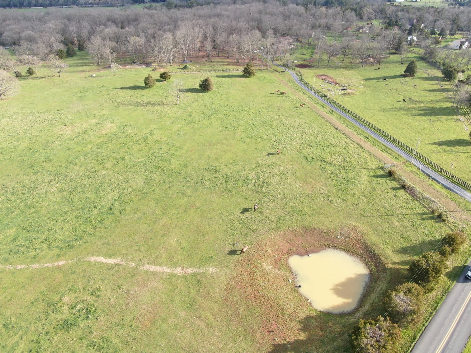 Image for 33.16± Acre Farm in Berryville, VA!