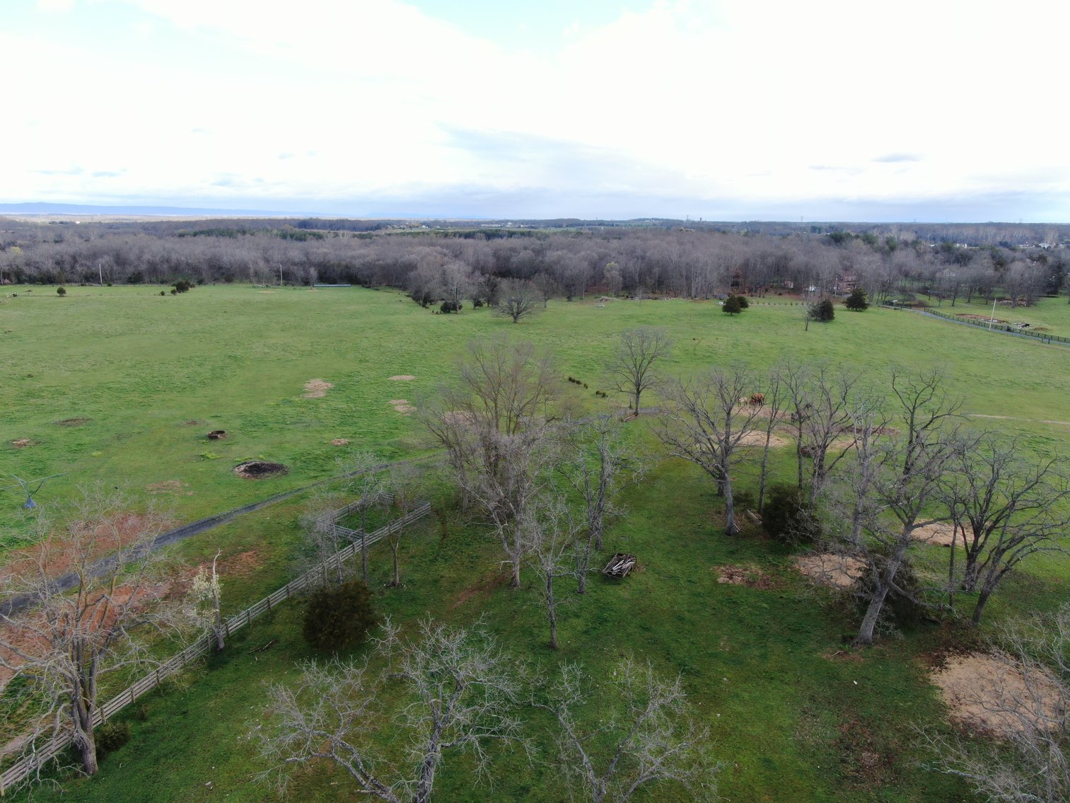 Image for 33.16± Acre Farm in Berryville, VA!