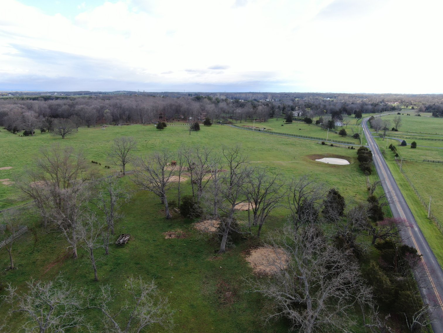 Image for 33.16± Acre Farm in Berryville, VA!
