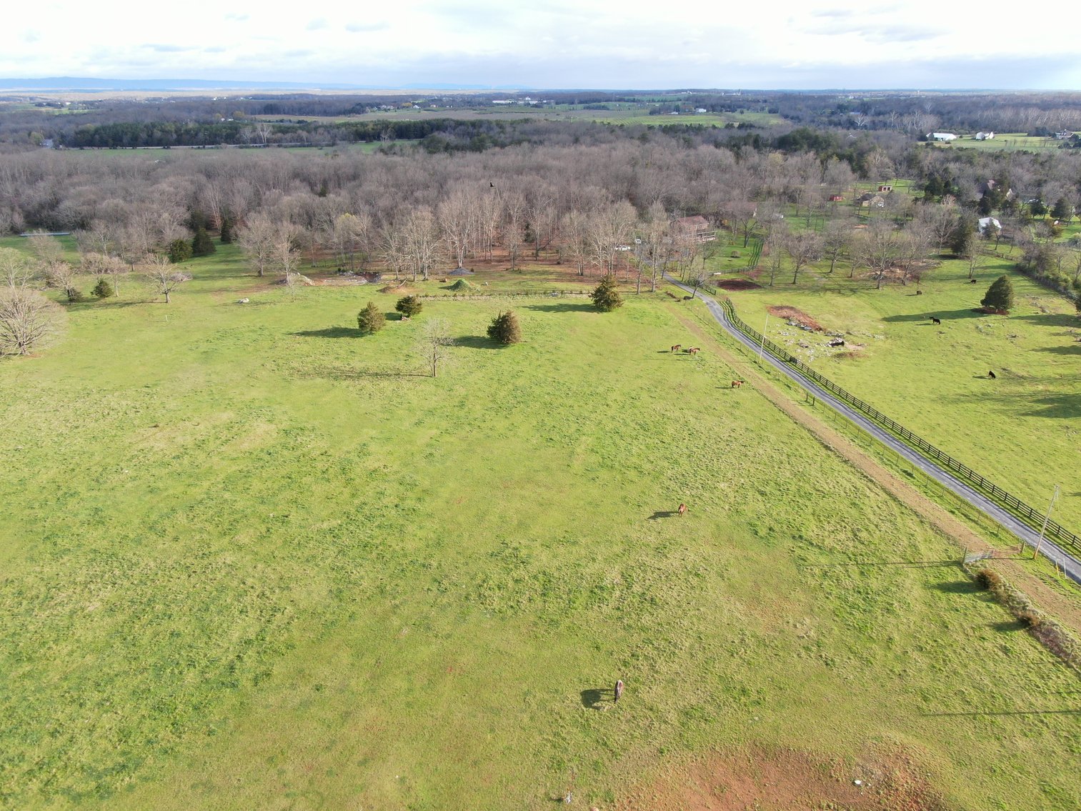 Image for 33.16± Acre Farm in Berryville, VA!
