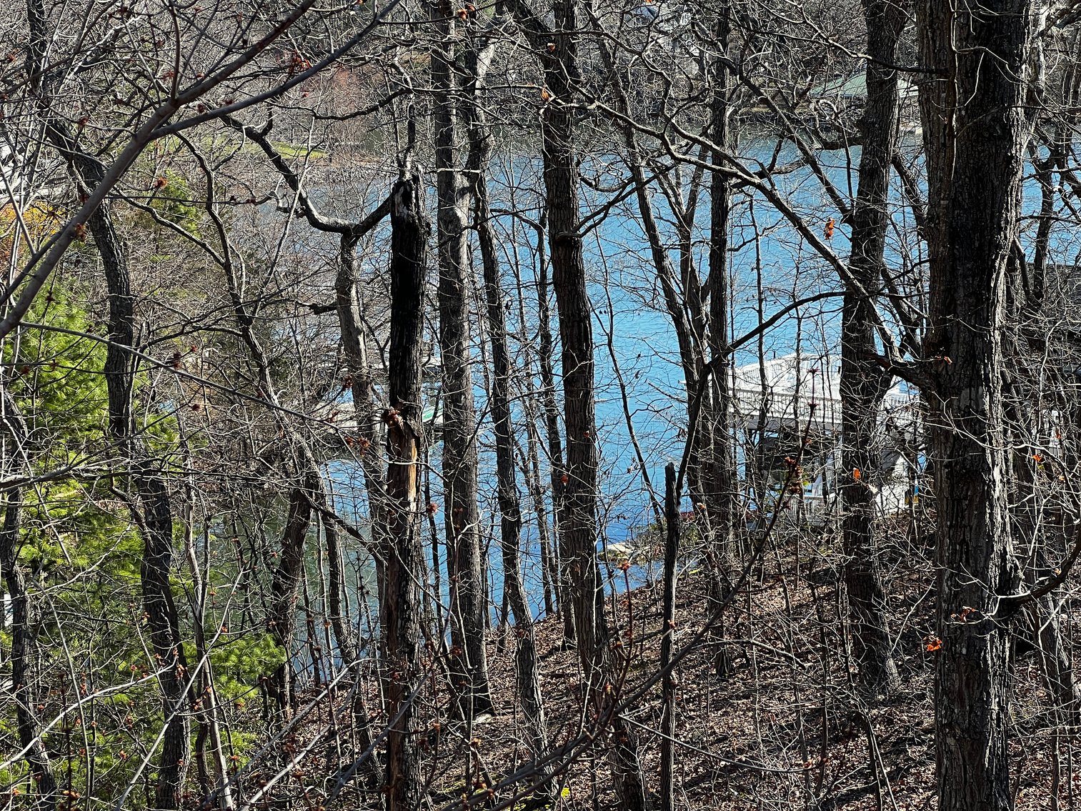Image for 3 BR/3.5 BA Water View Home in the Smith Mountain Lake Community of Mountain View Shores--ONLINE ONLY BIDDING!!
