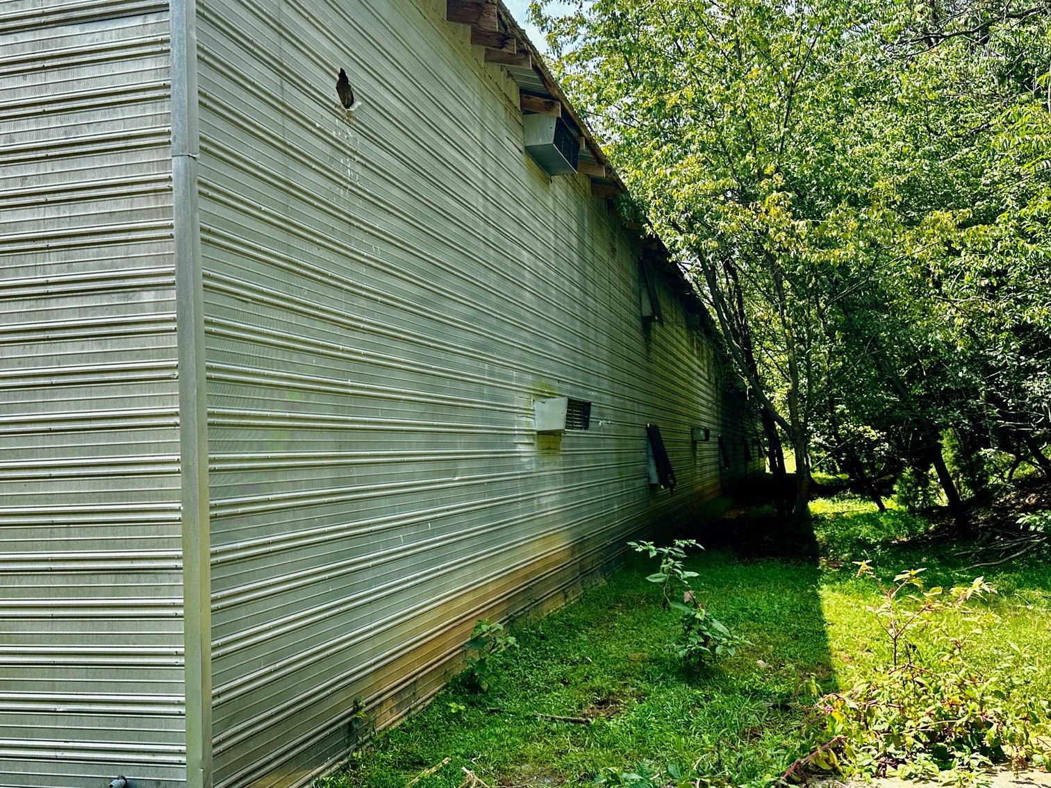 Image for 39.25 +/- Acres w/3 BR Farm House, 2 Poultry Houses, Loafing Shed & Litter Storage Shed--Rockingham County, VA