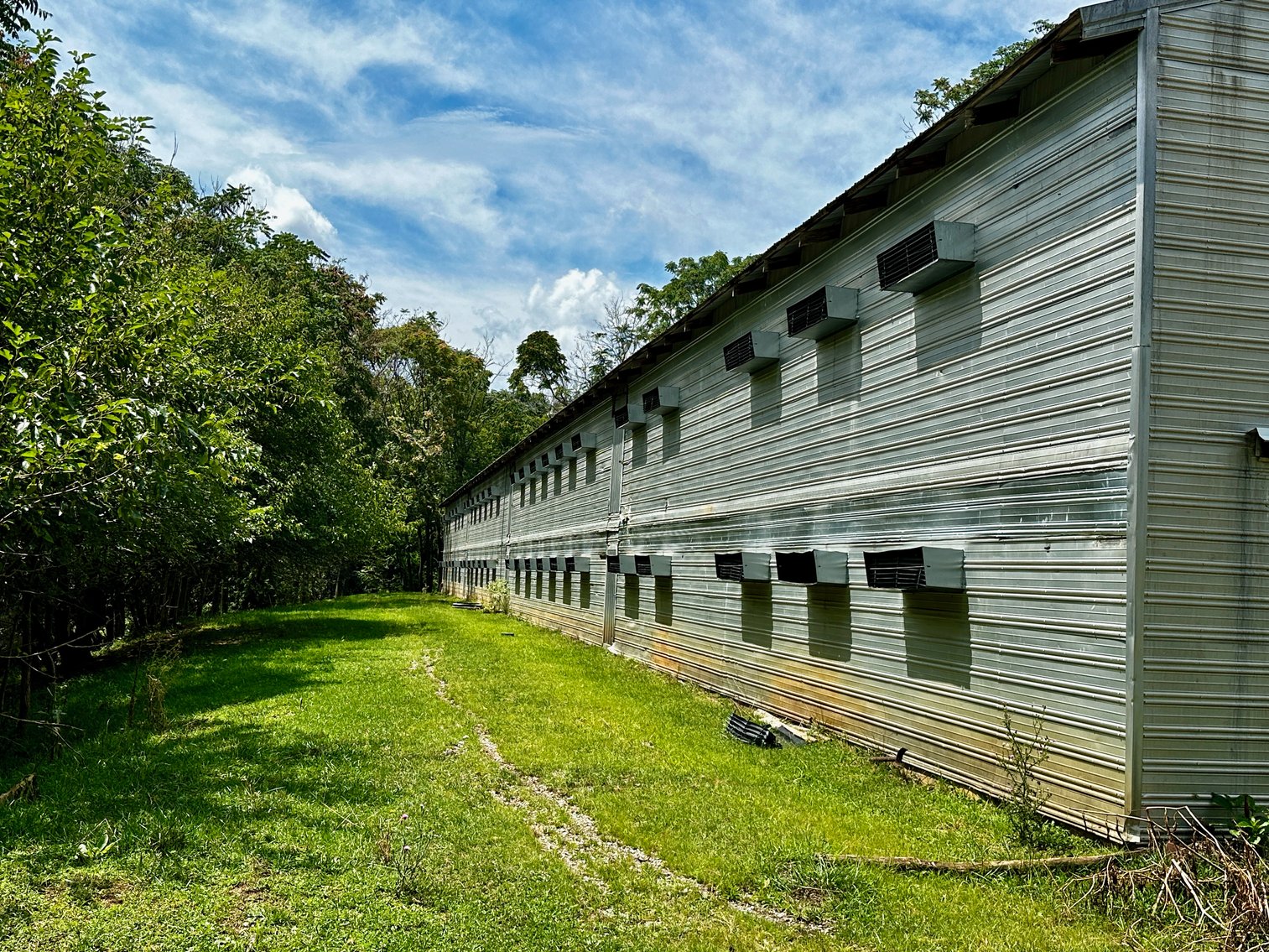 Image for 39.25 +/- Acres w/3 BR Farm House, 2 Poultry Houses, Loafing Shed & Litter Storage Shed--Rockingham County, VA