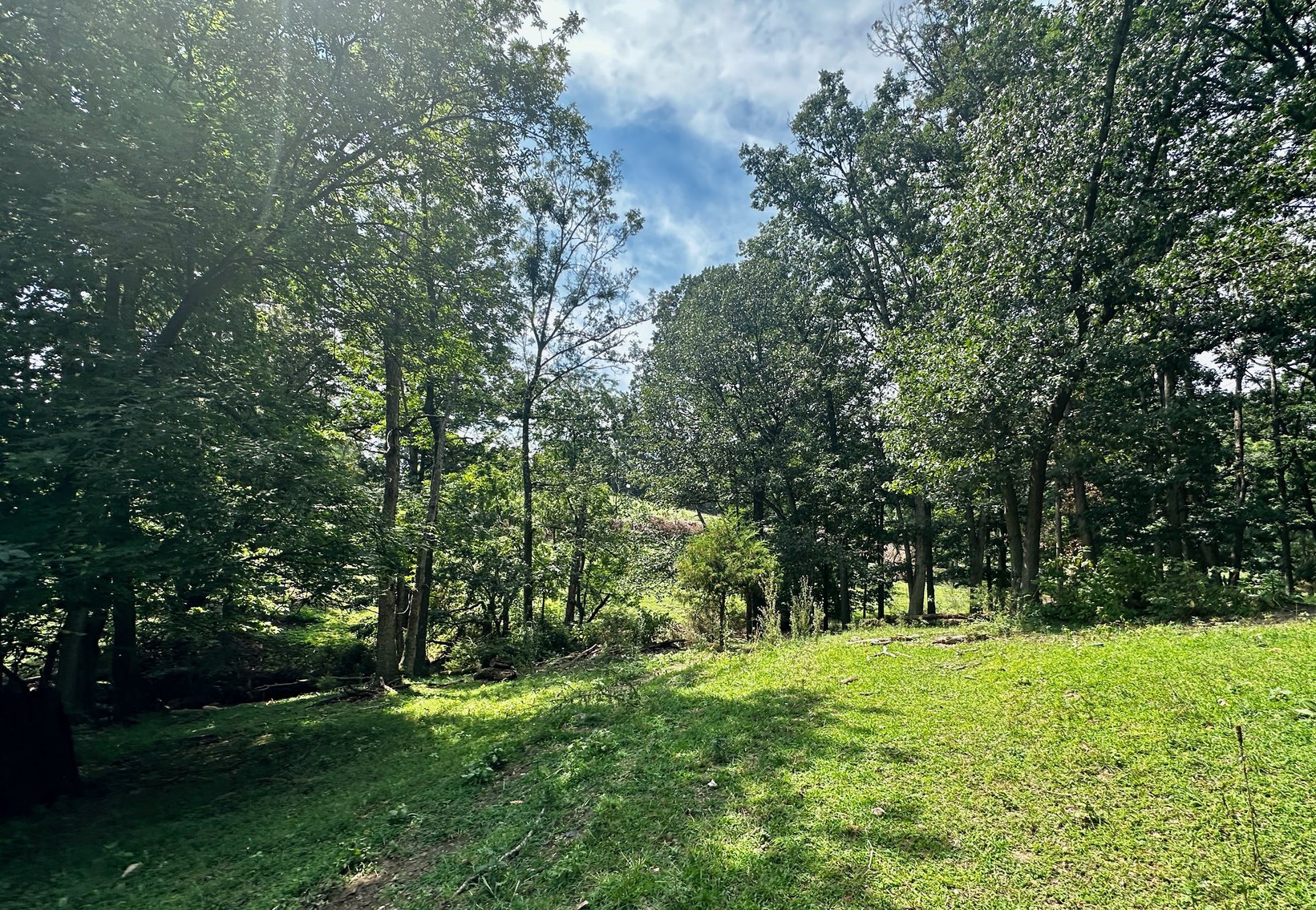 Image for 39.25 +/- Acres w/3 BR Farm House, 2 Poultry Houses, Loafing Shed & Litter Storage Shed--Rockingham County, VA